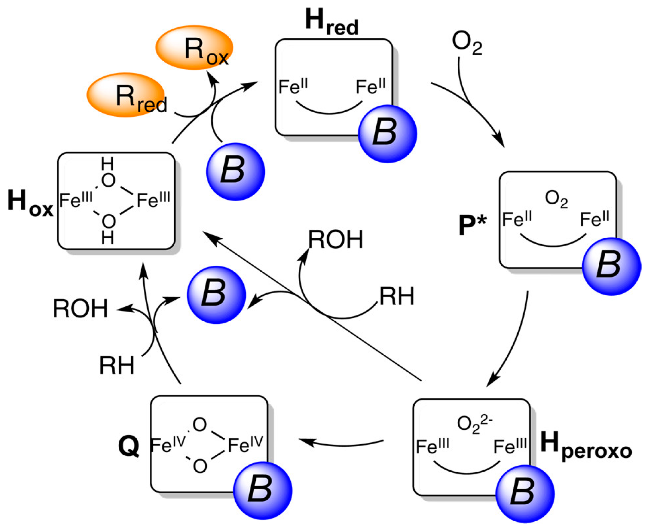Catalysts 14 00167 g009