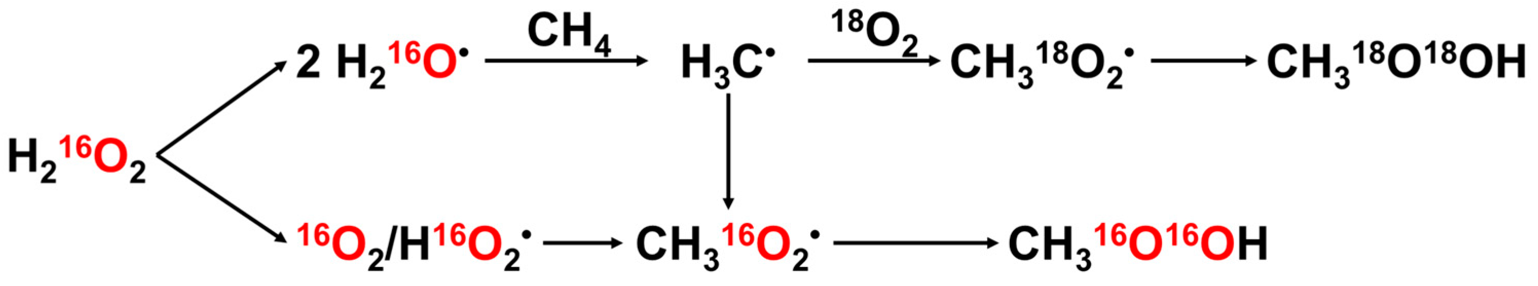 Catalysts 14 00167 g011
