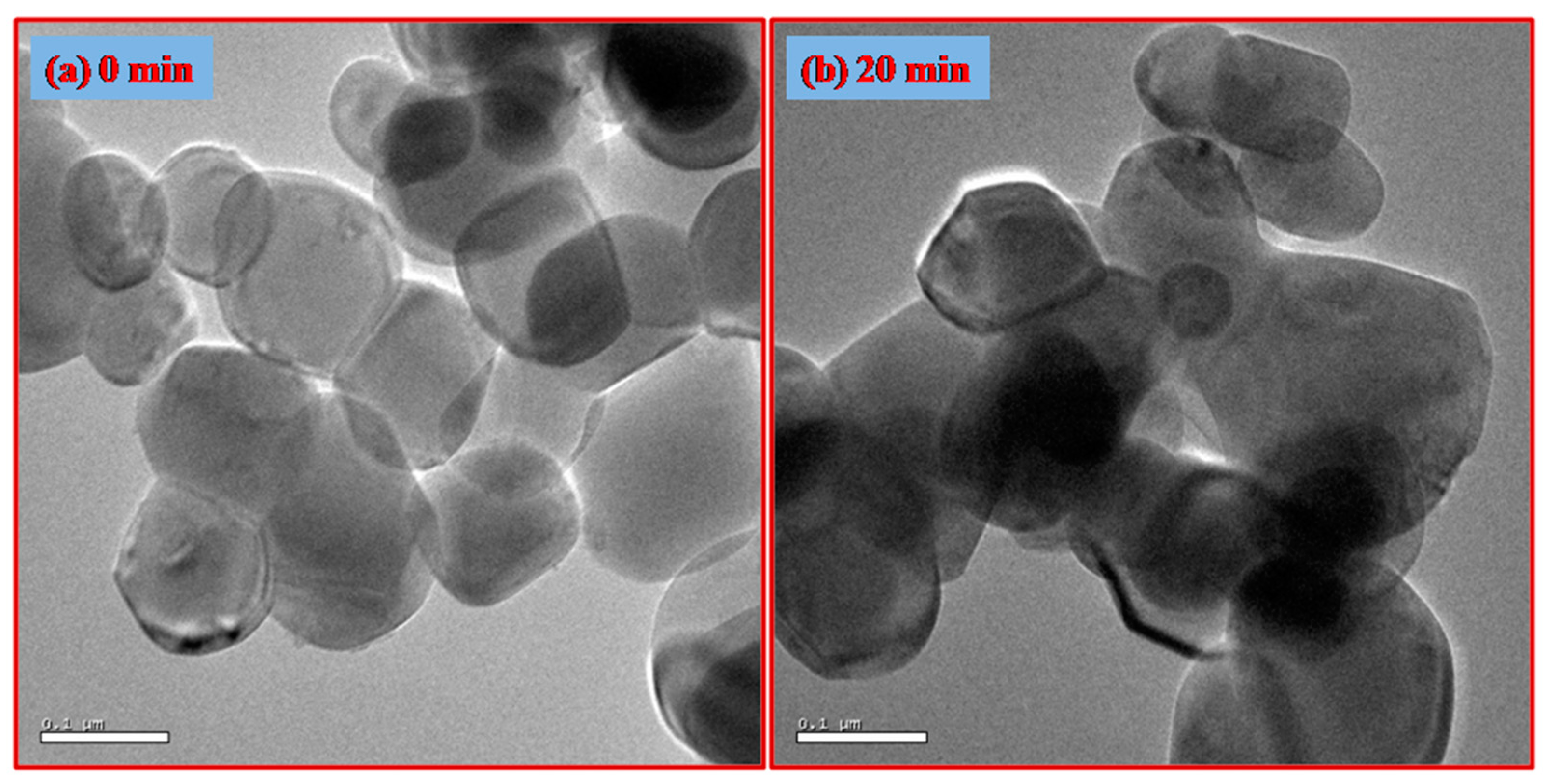 Catalysts 14 00169 g004