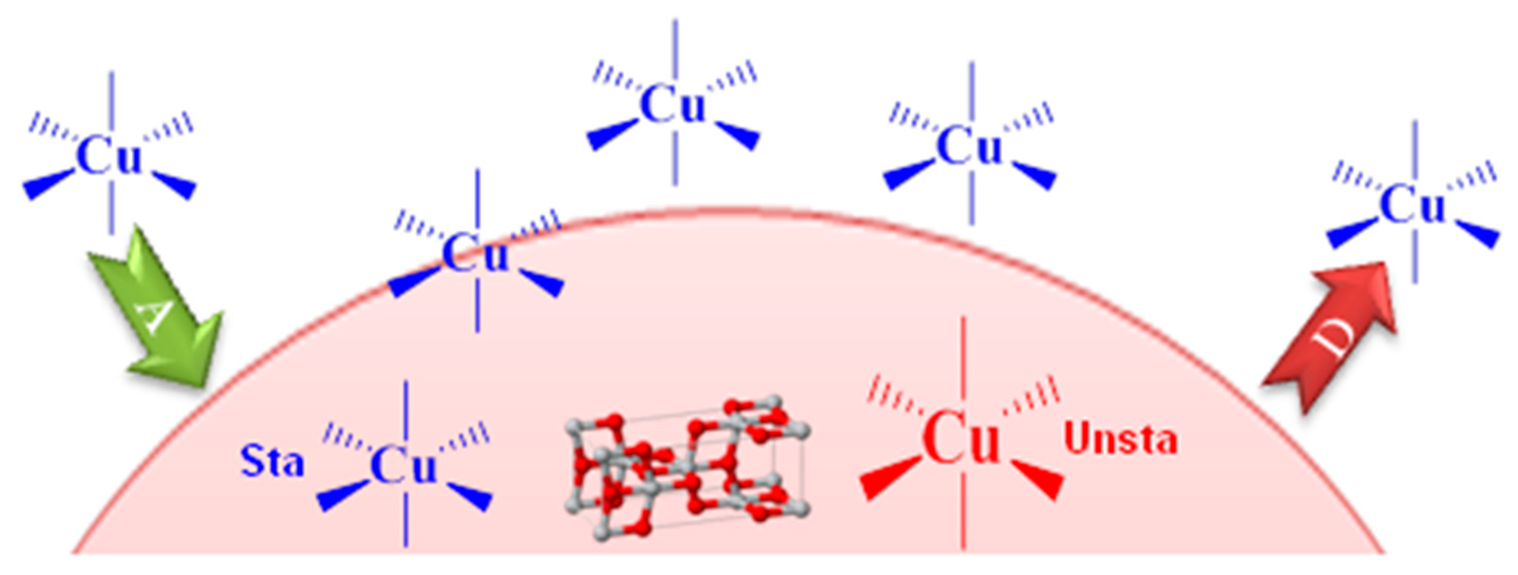 Catalysts 14 00169 sch001