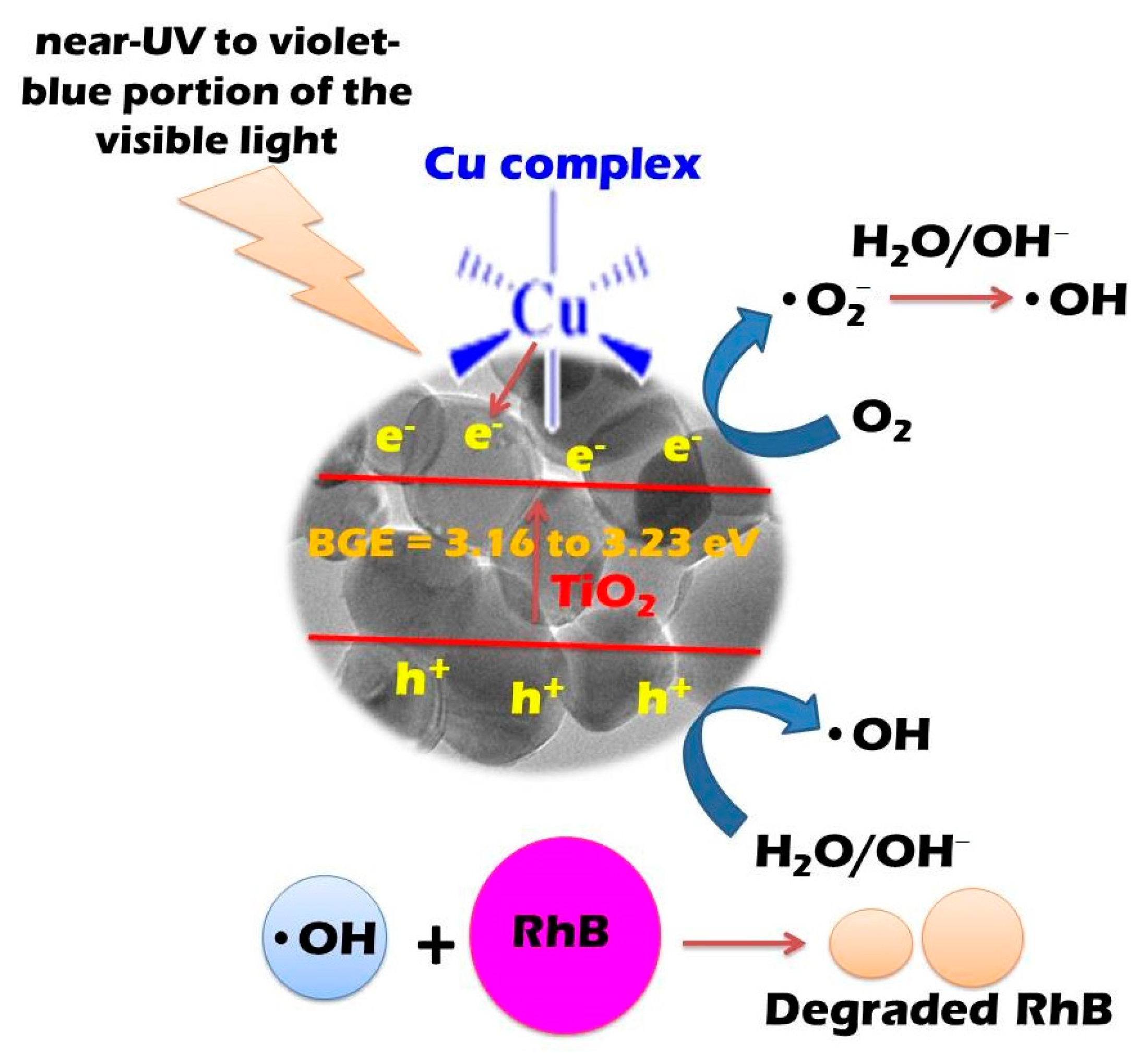 Catalysts 14 00169 sch002