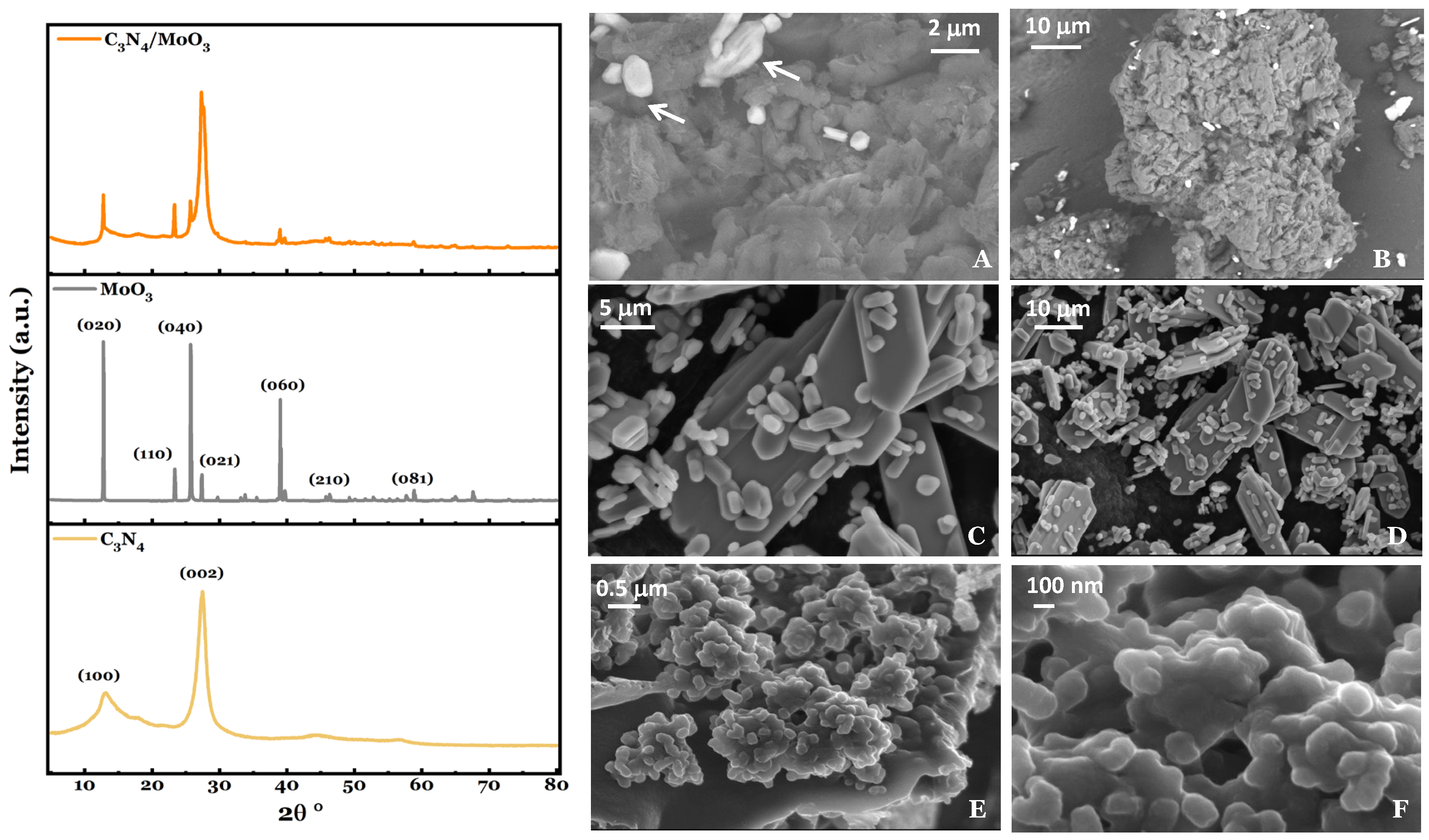 Catalysts 14 00170 g001
