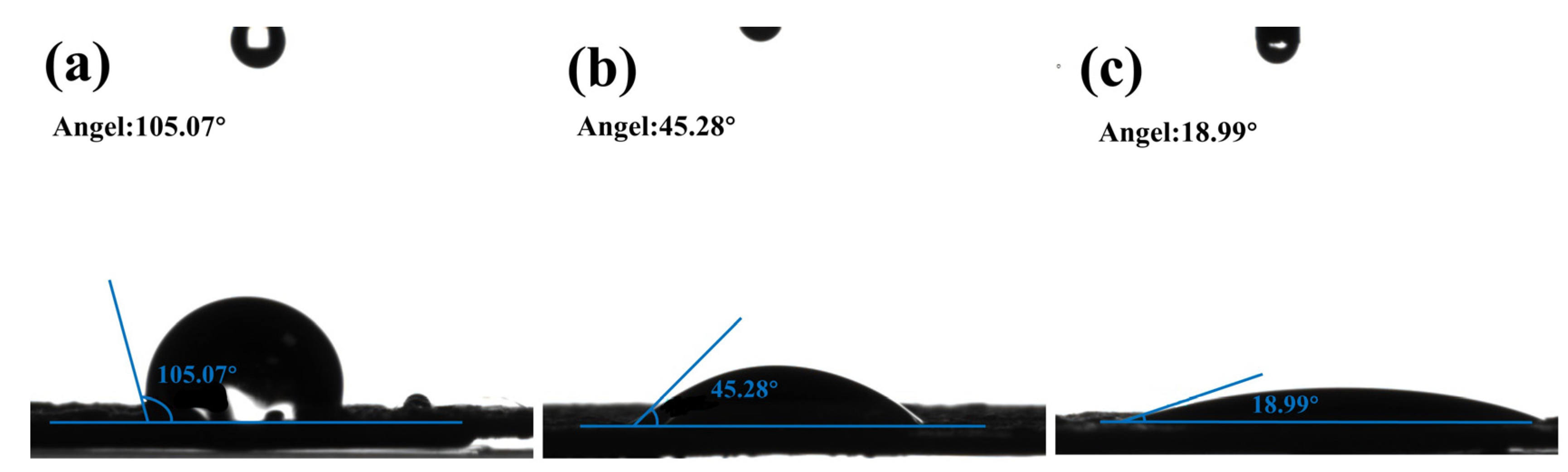 Catalysts 14 00172 g002