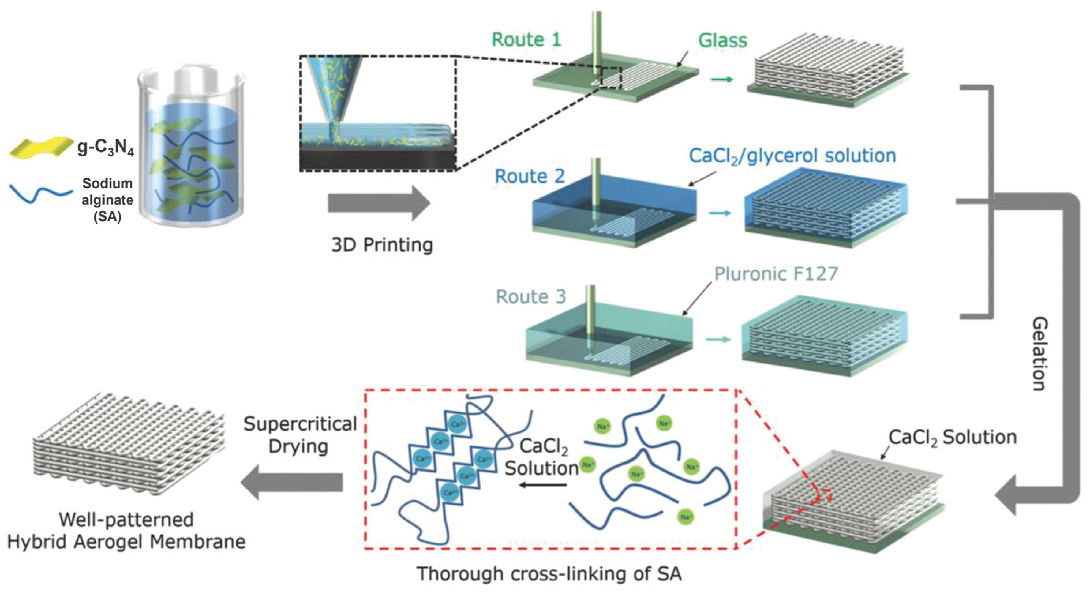Catalysts 14 00175 g005