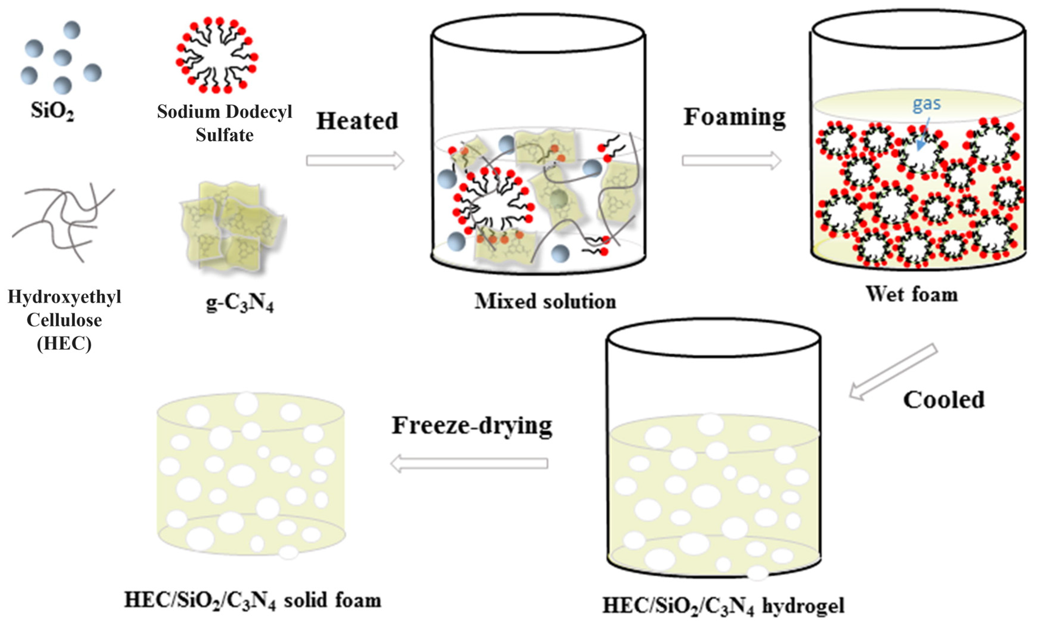 Catalysts 14 00175 g007