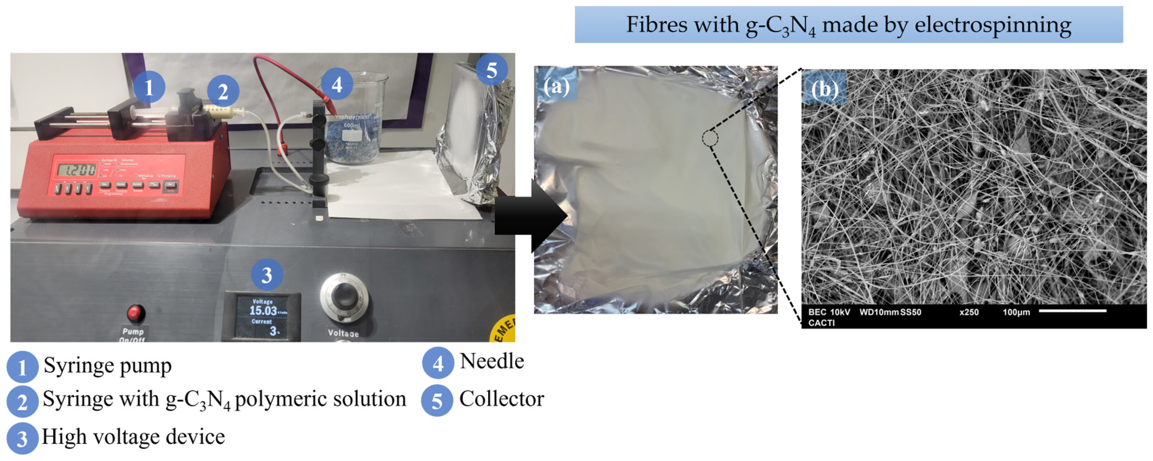 Catalysts 14 00175 g008