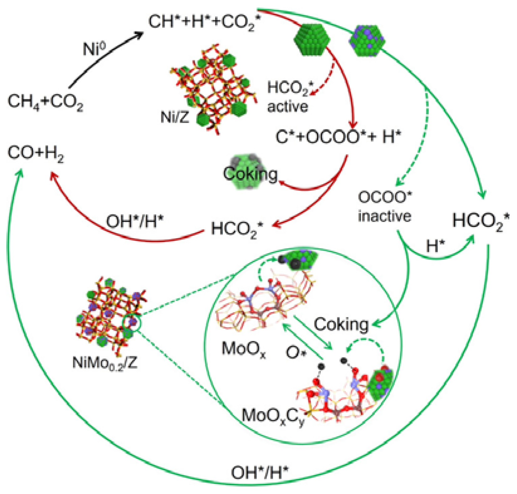 Catalysts 14 00176 g010