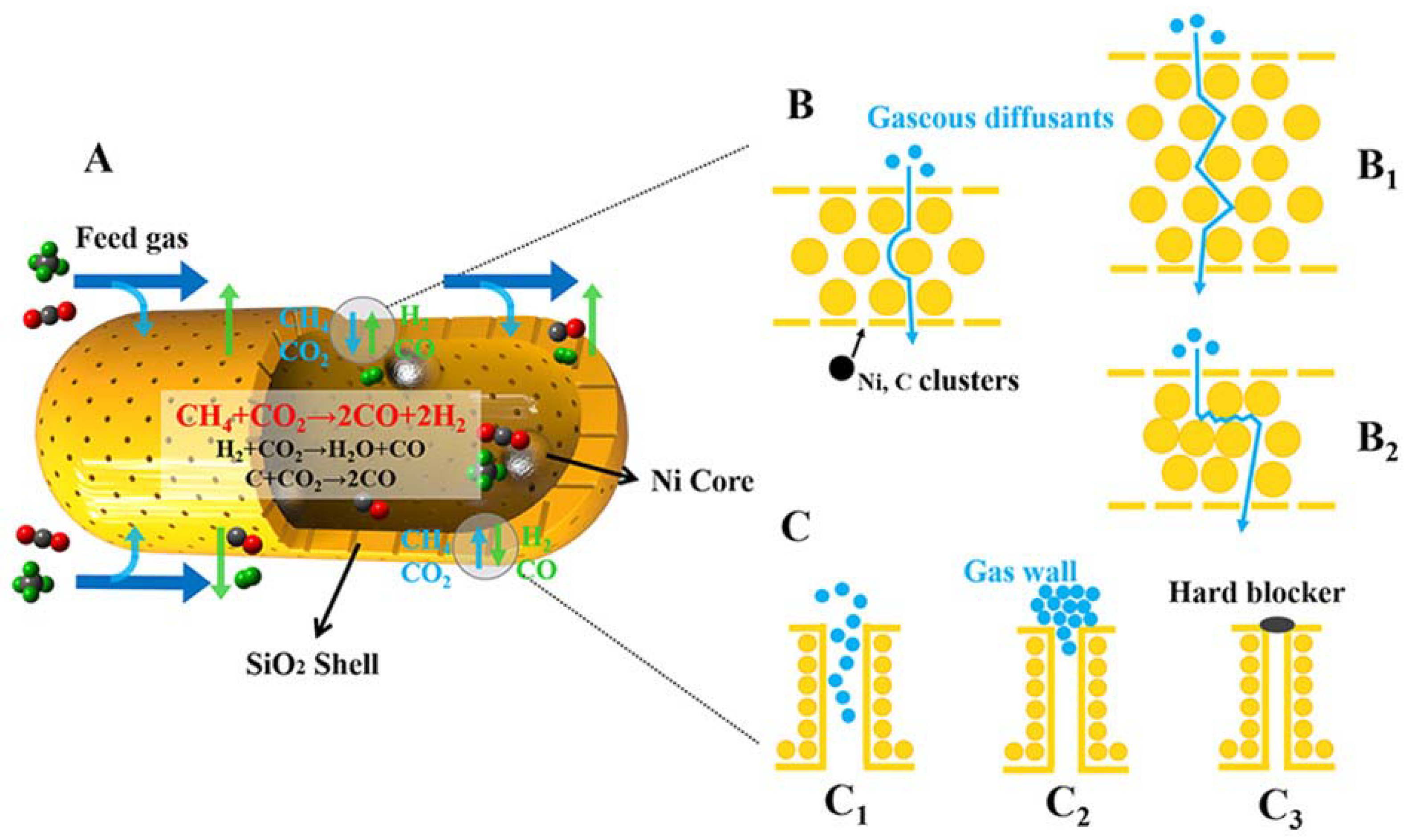 Catalysts 14 00176 g012
