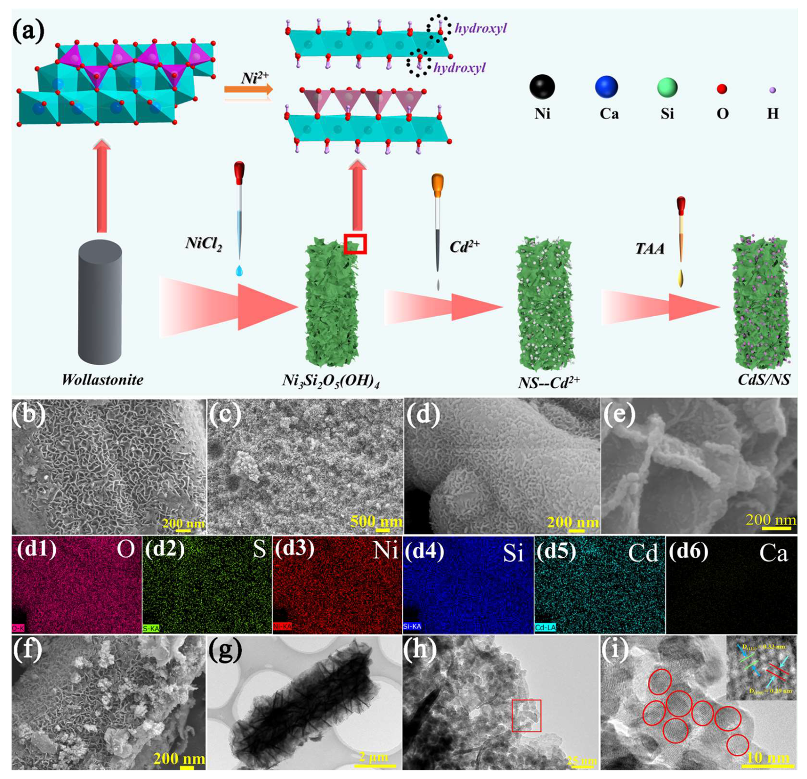 Catalysts 14 00183 g002