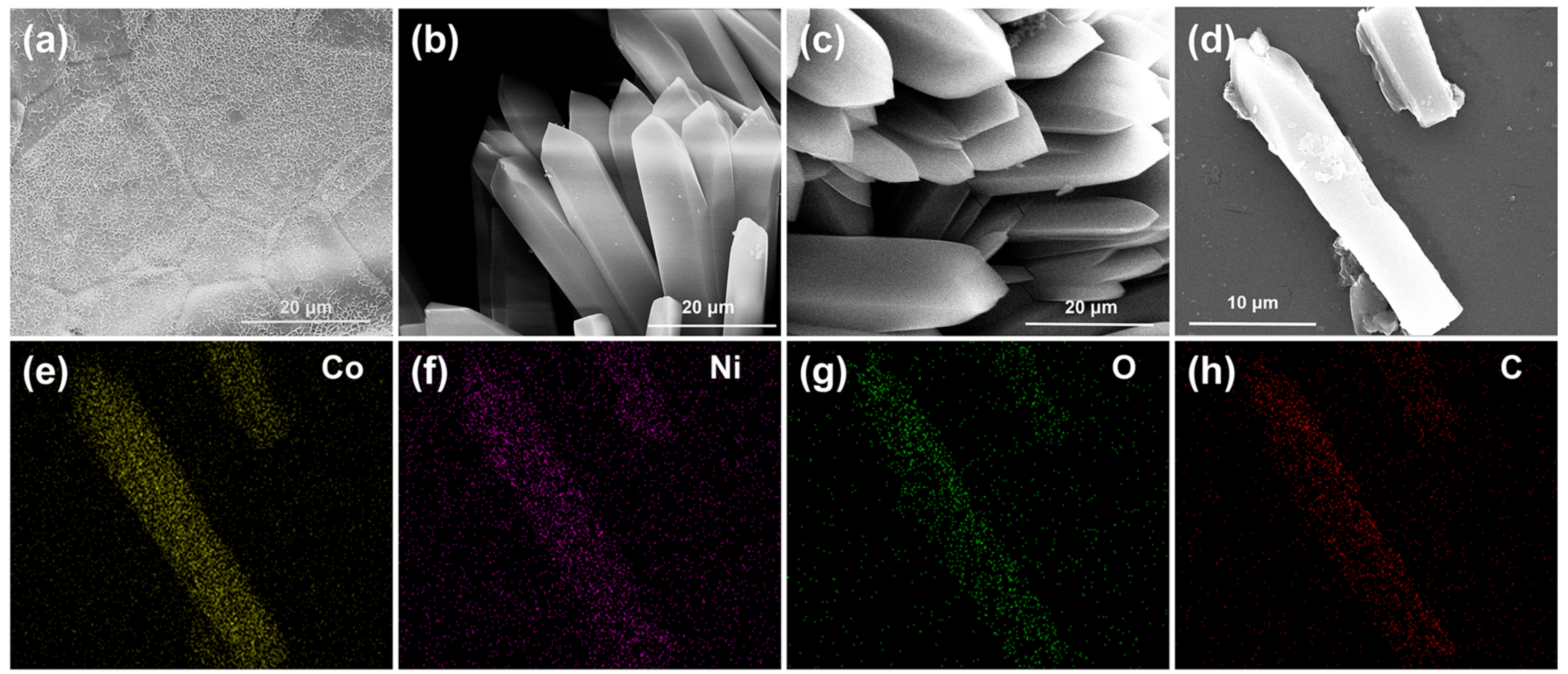 Catalysts 14 00184 g002