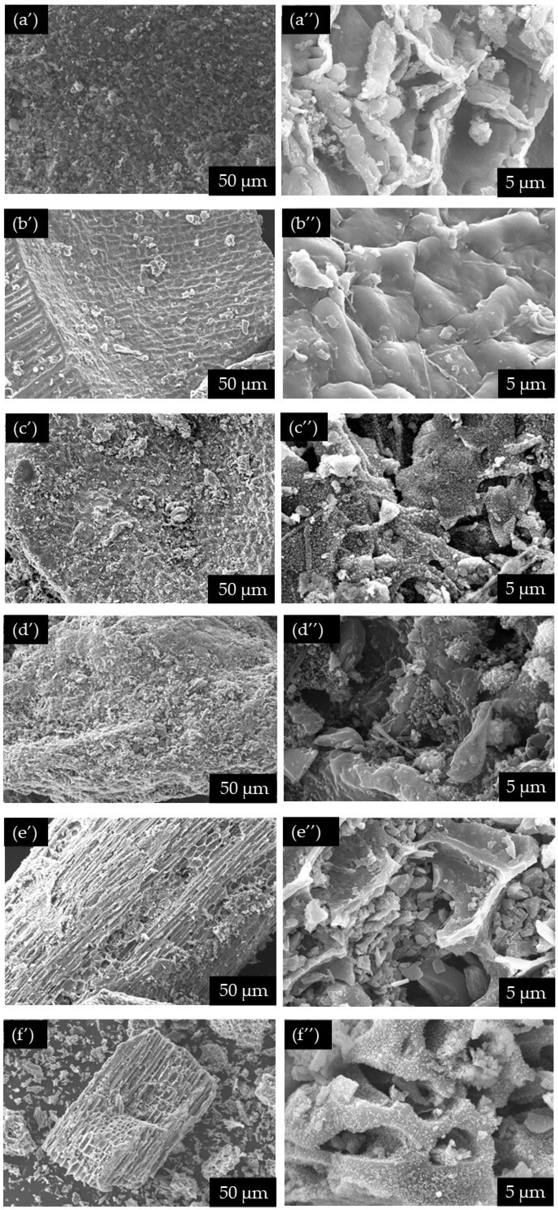 Catalysts 14 00185 g005