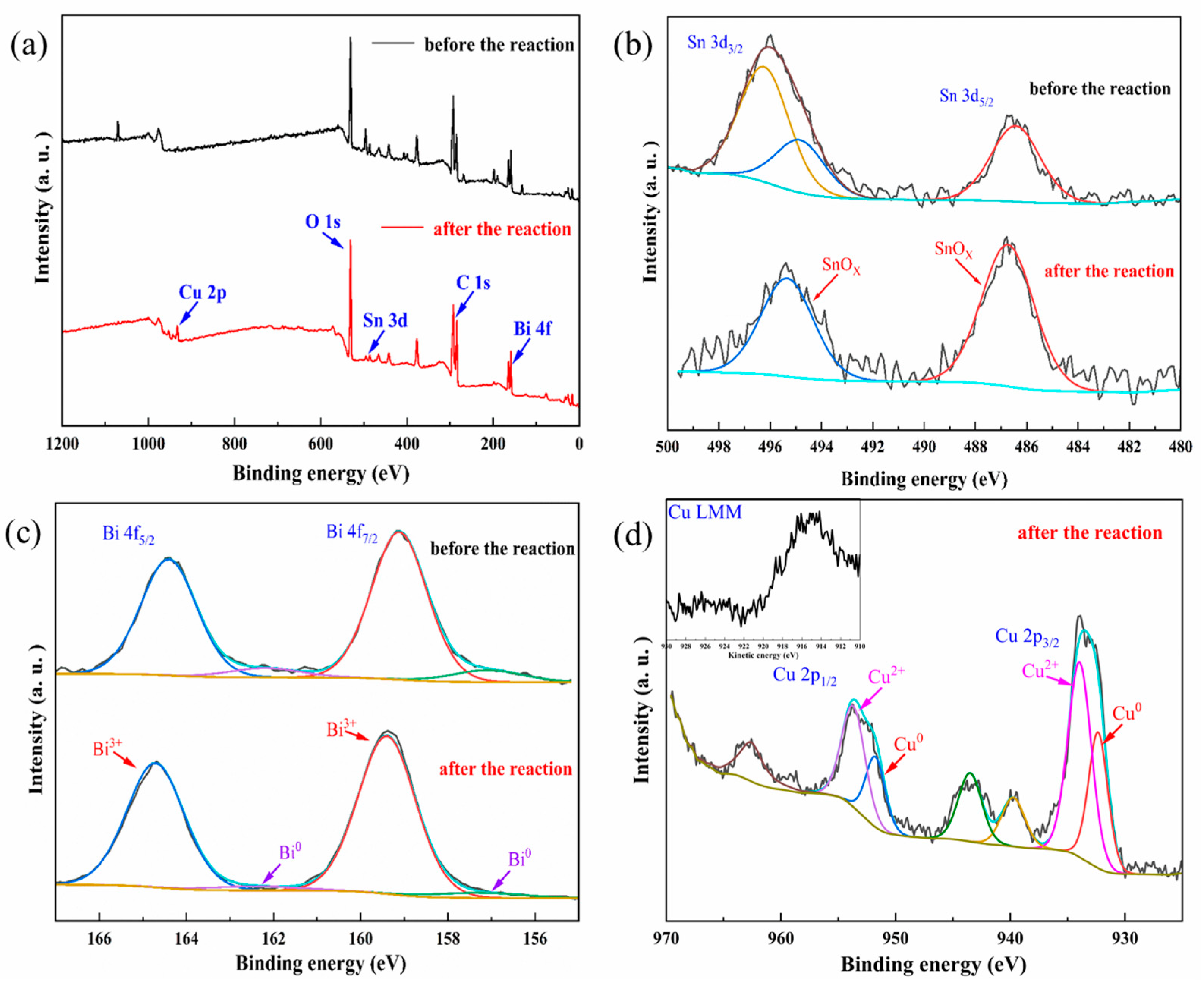 Catalysts 14 00191 g008