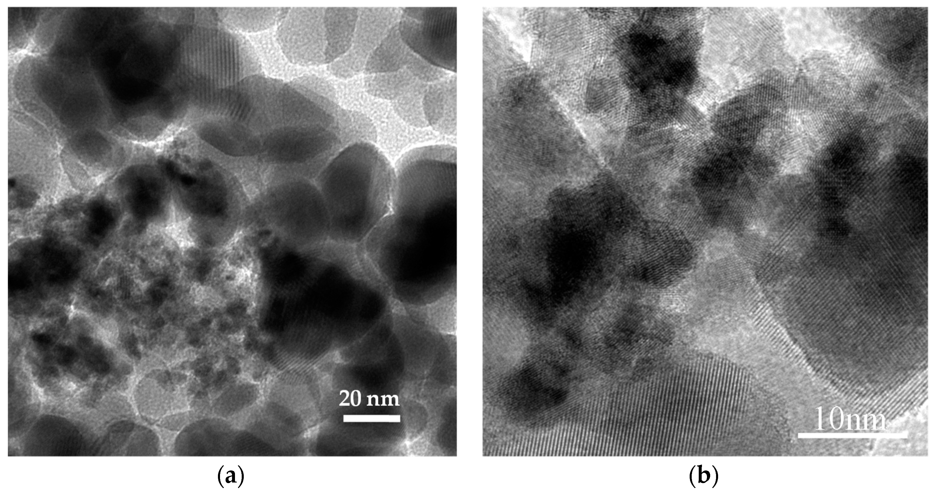 Catalysts 14 00194 g009