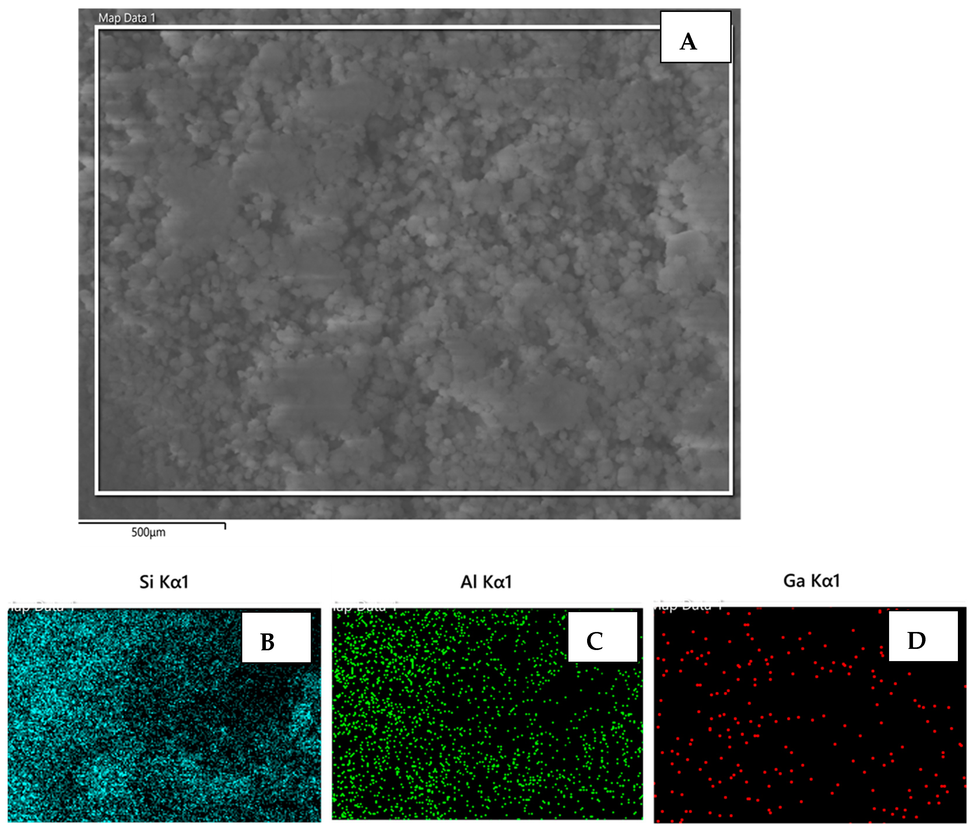 Catalysts 14 00196 g007
