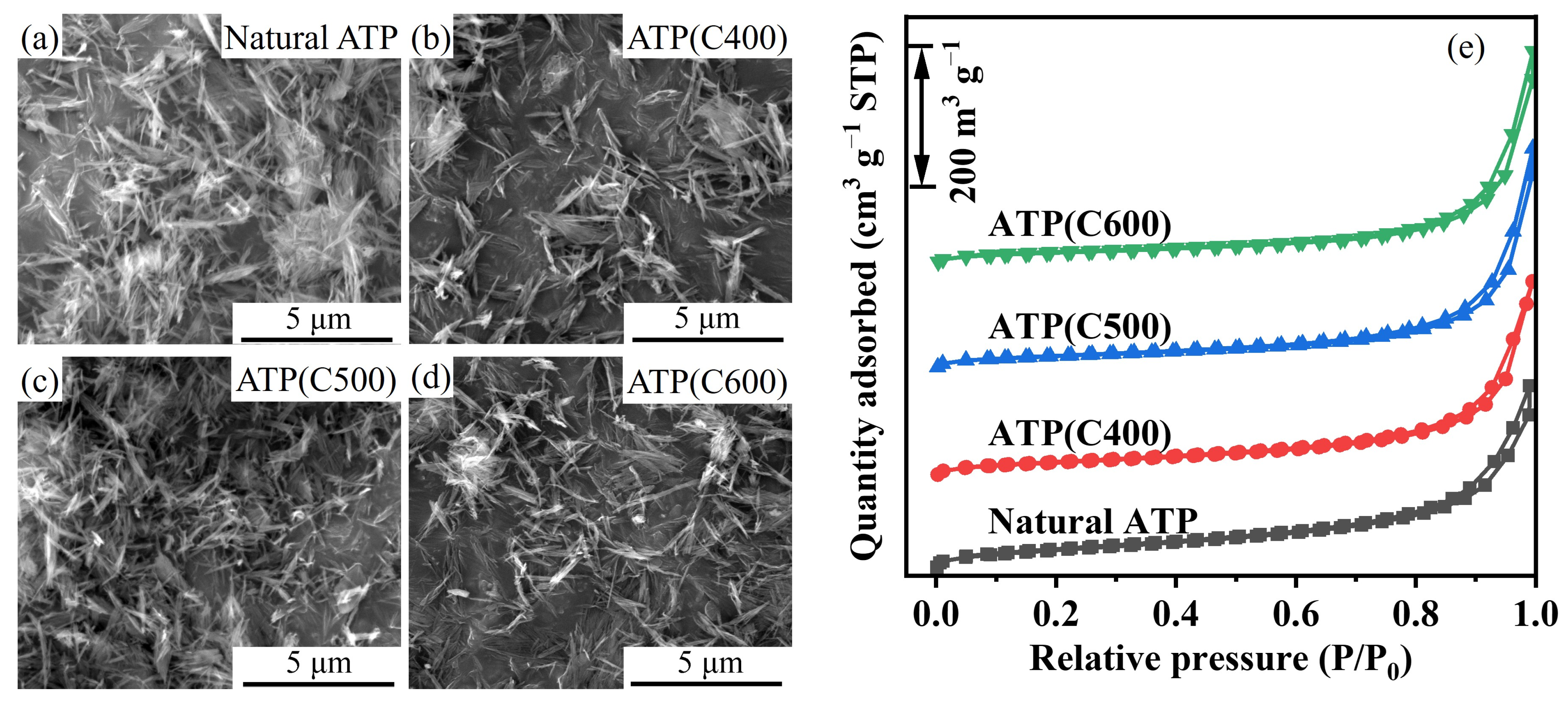 Catalysts 14 00197 g003