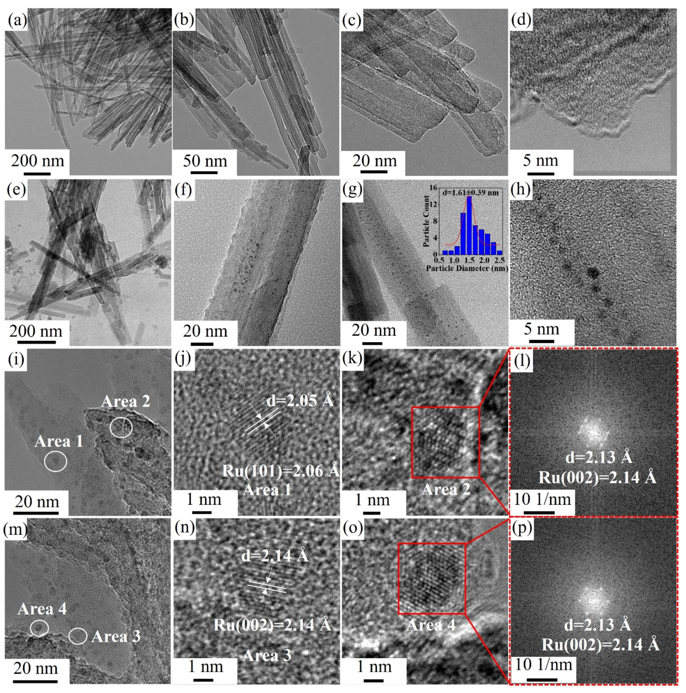 Catalysts 14 00197 g007
