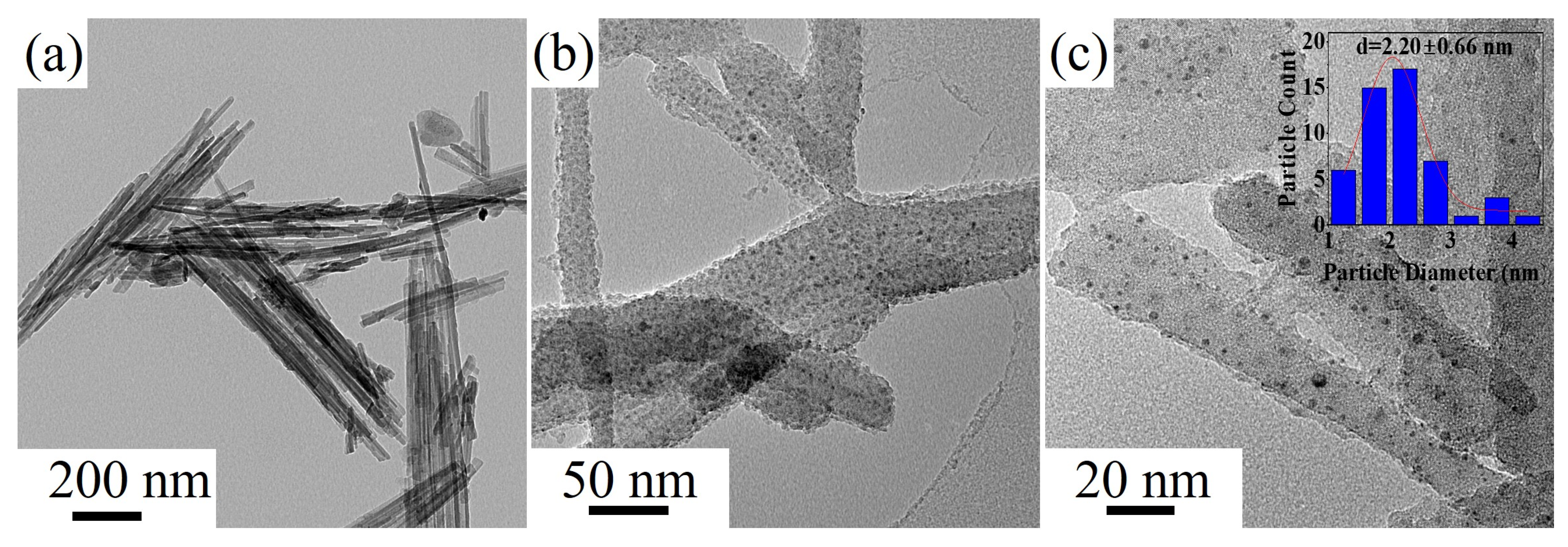 Catalysts 14 00197 g009