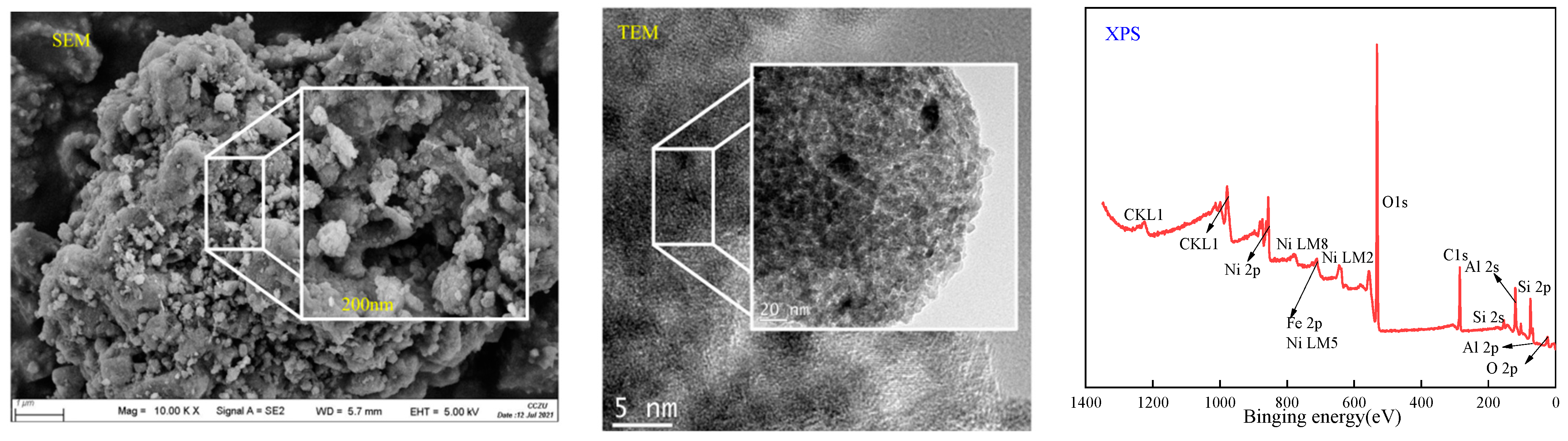 Catalysts 14 00200 g010
