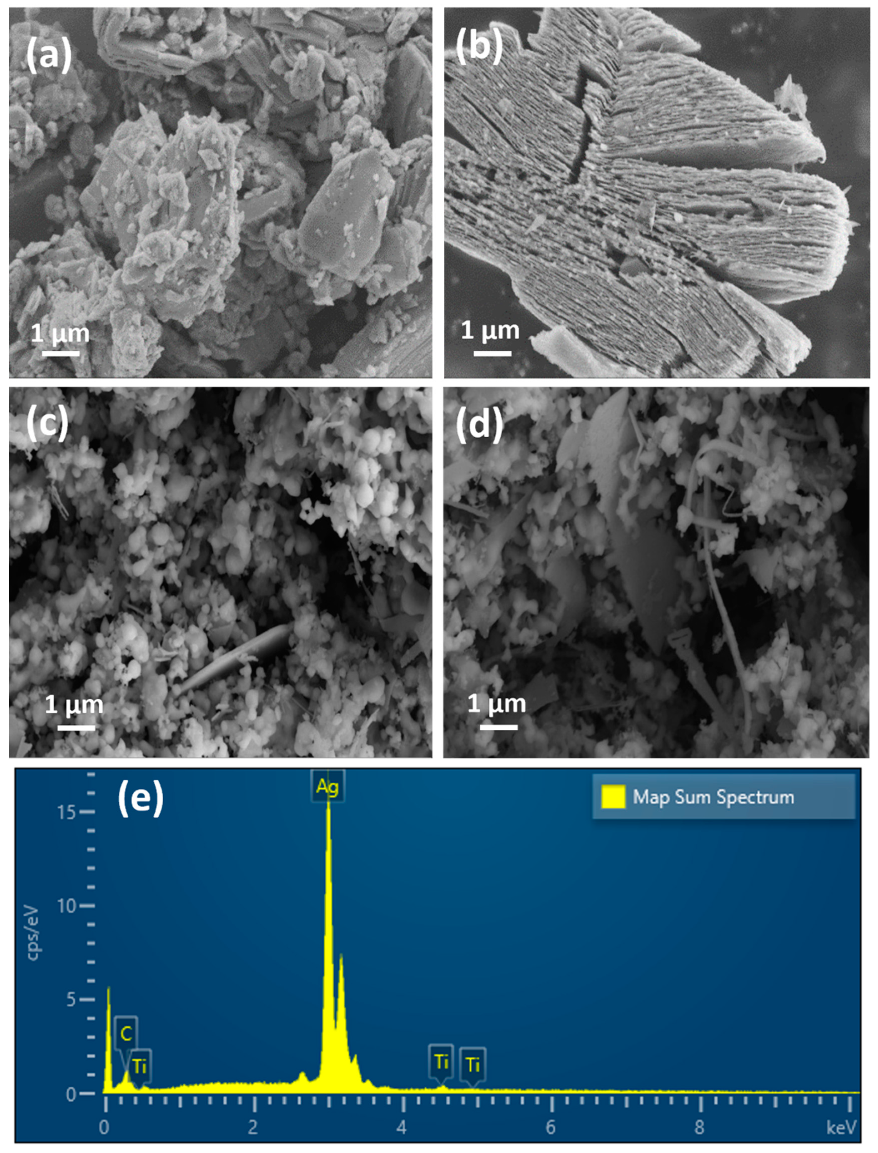 Catalysts 14 00201 g004