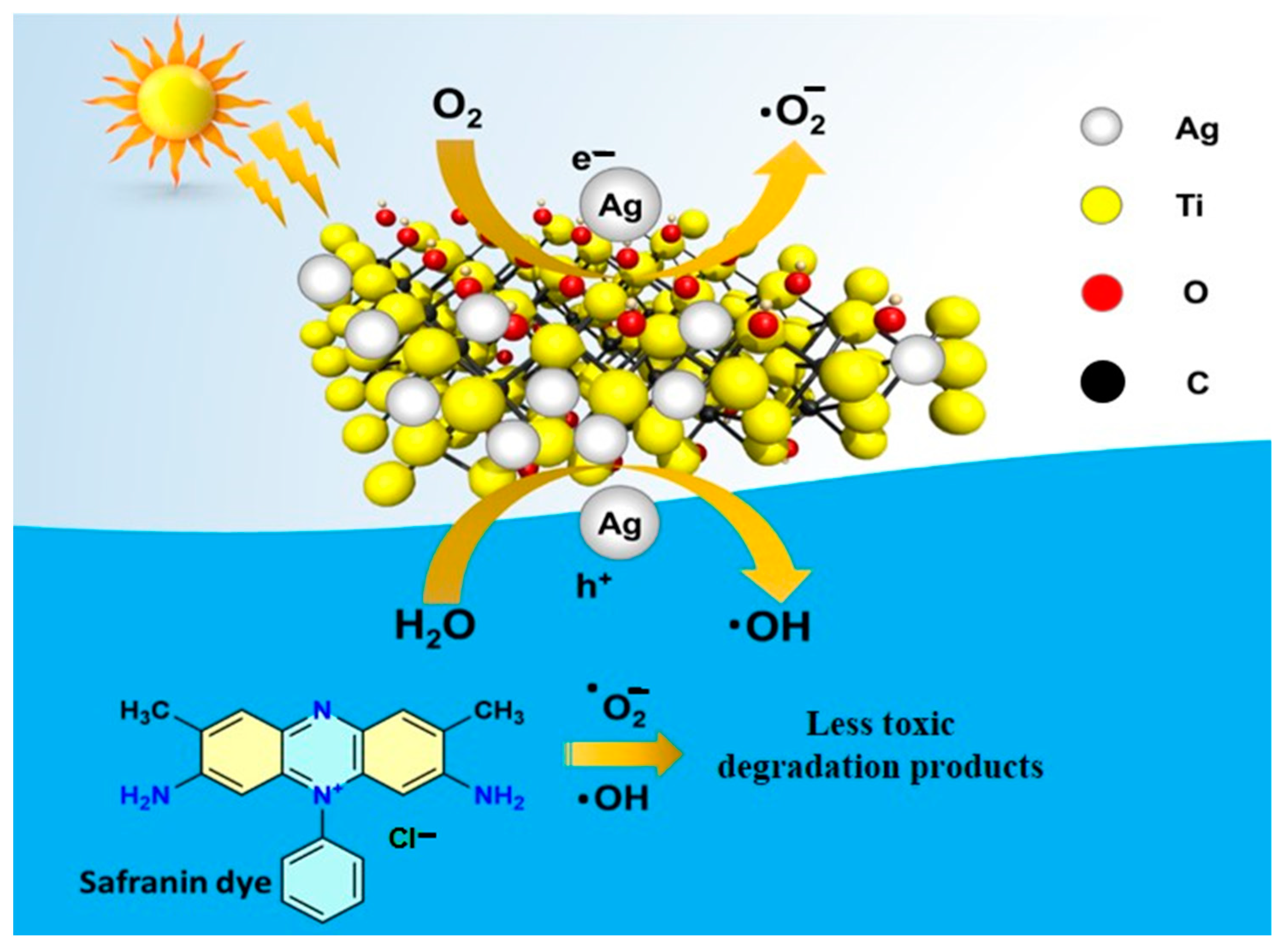 Catalysts 14 00201 g007