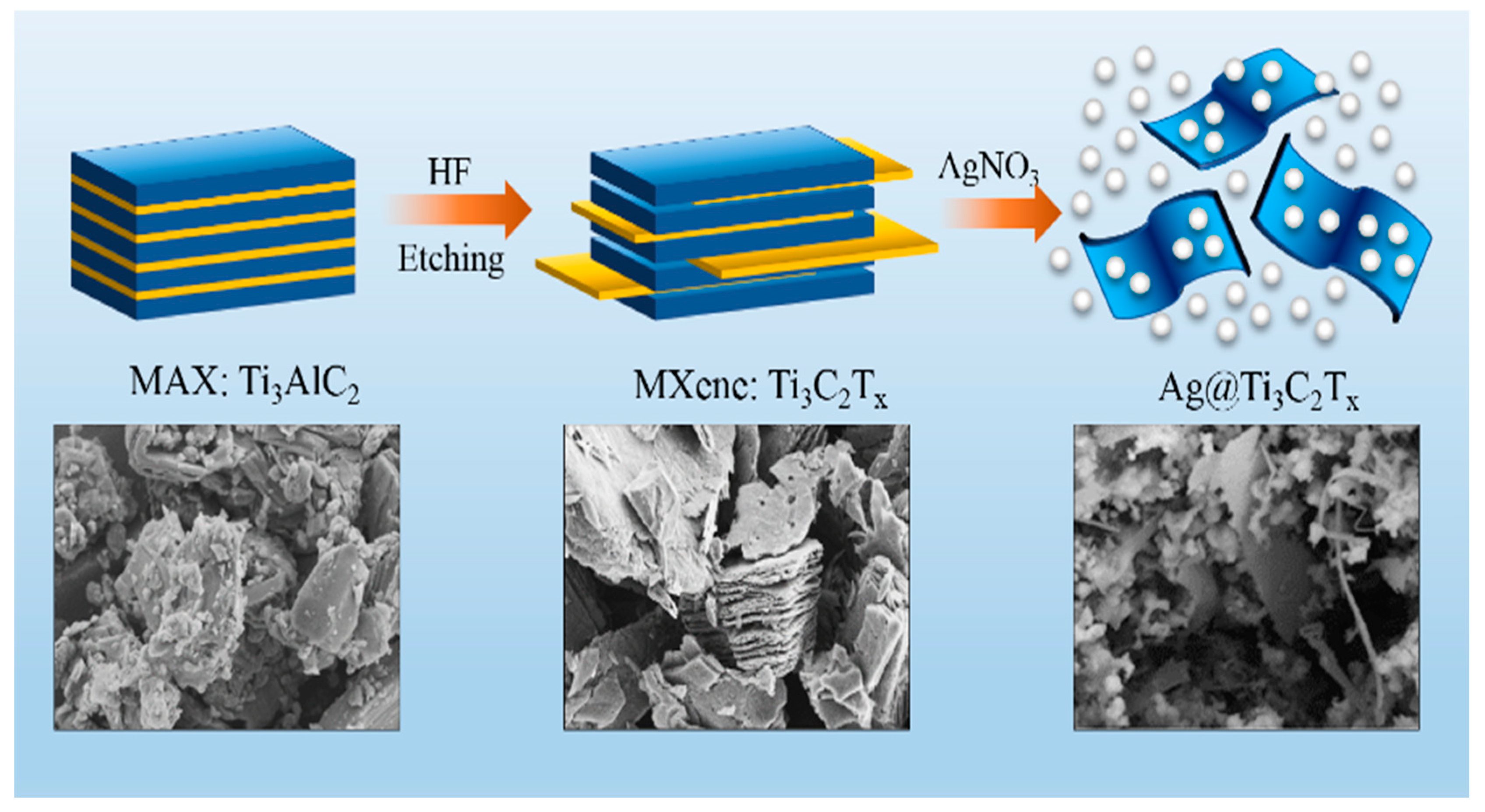 Catalysts 14 00201 g008