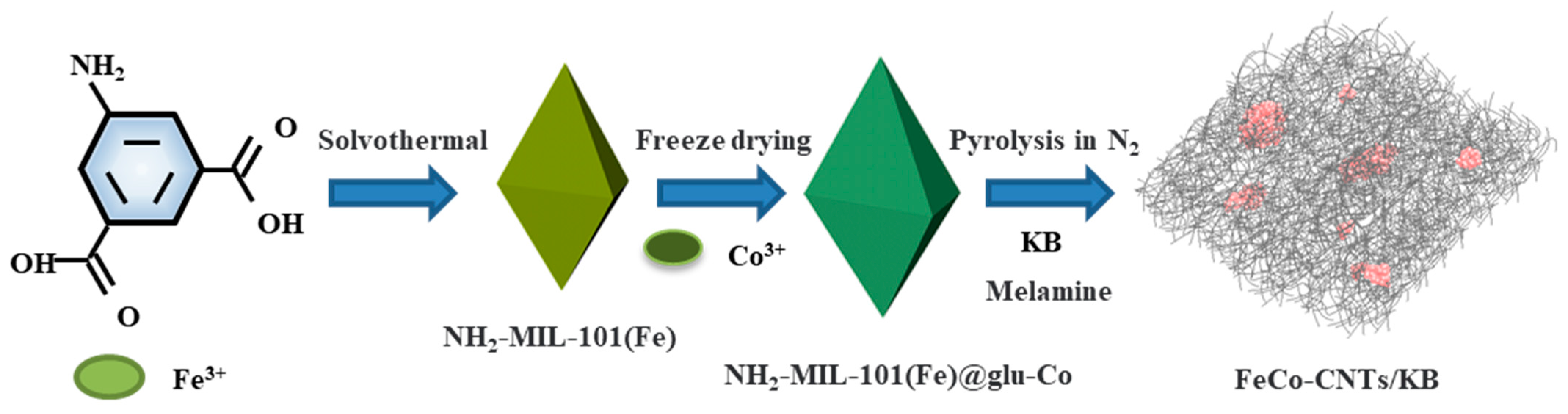 Catalysts 14 00205 sch001