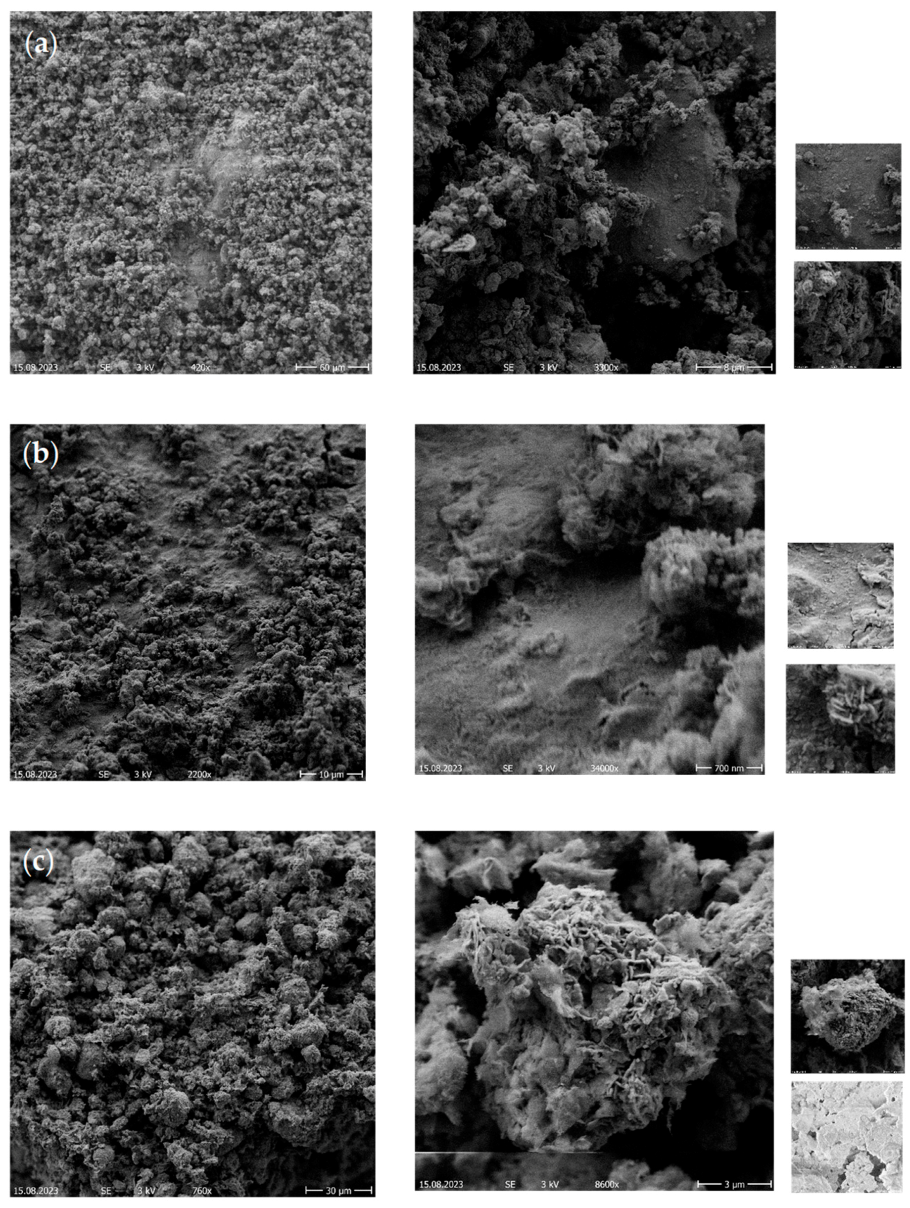 Catalysts 14 00206 g009