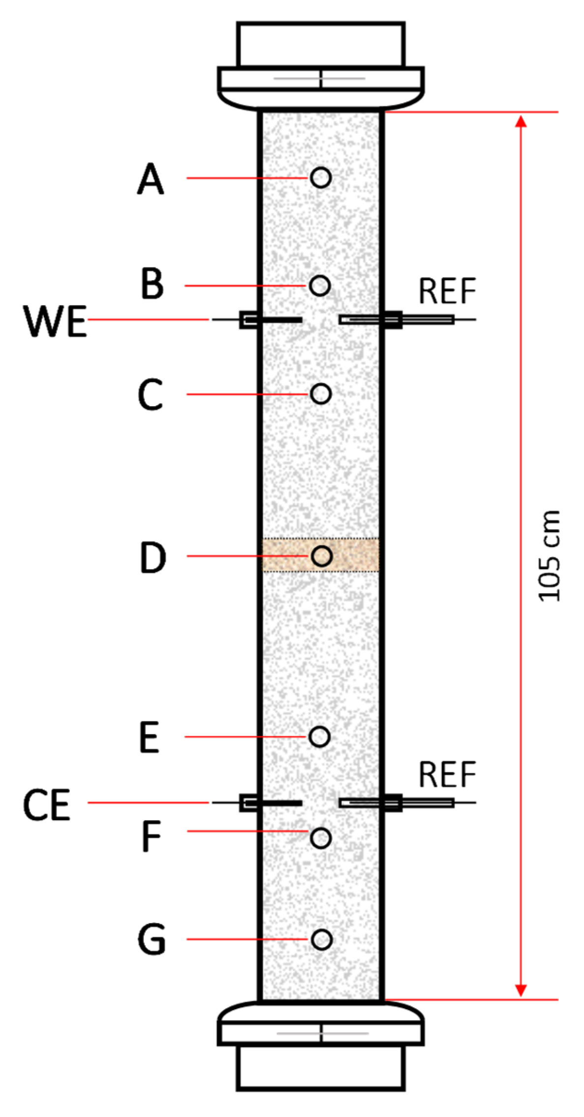 Catalysts 14 00208 g008
