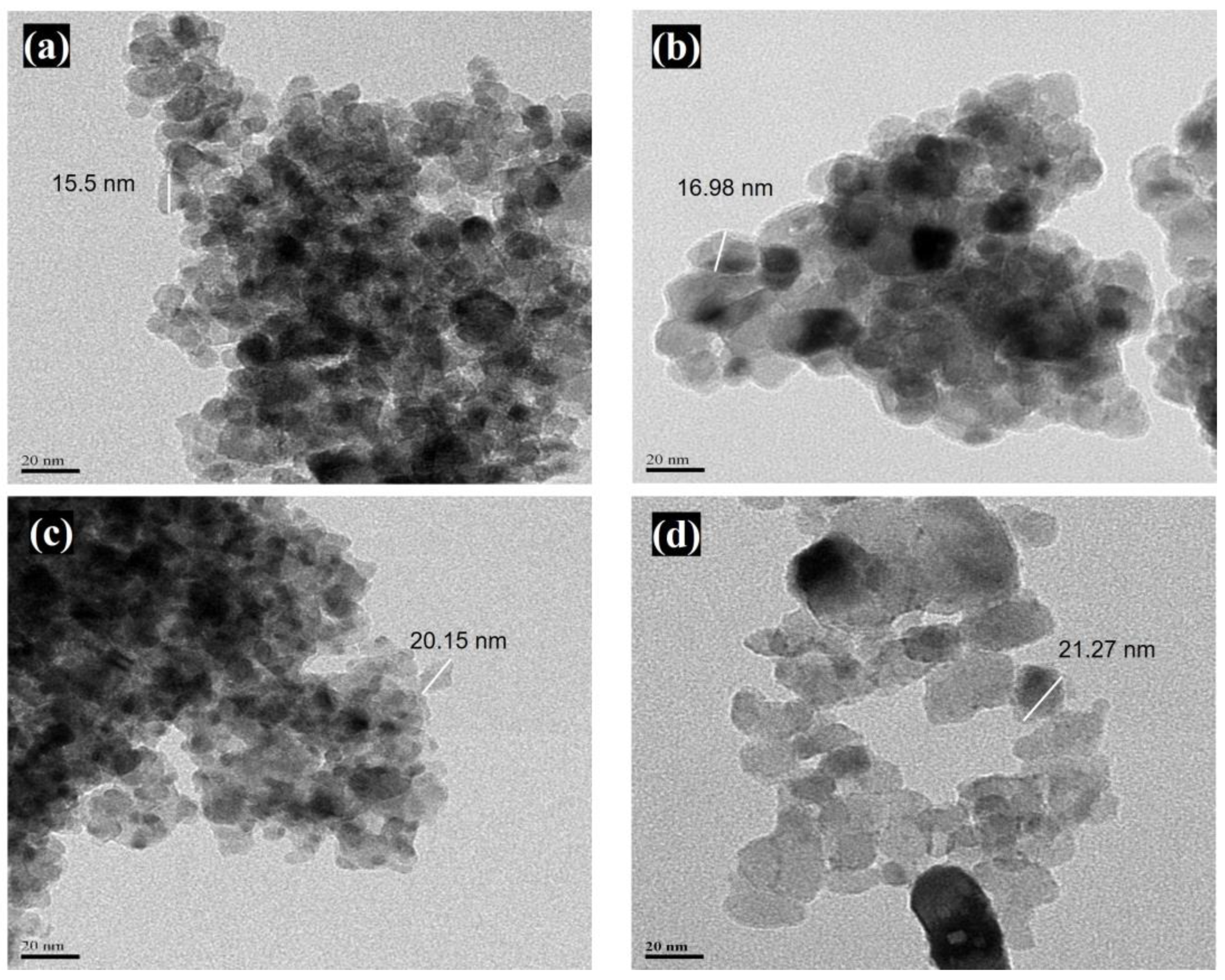 Catalysts 14 00209 g004
