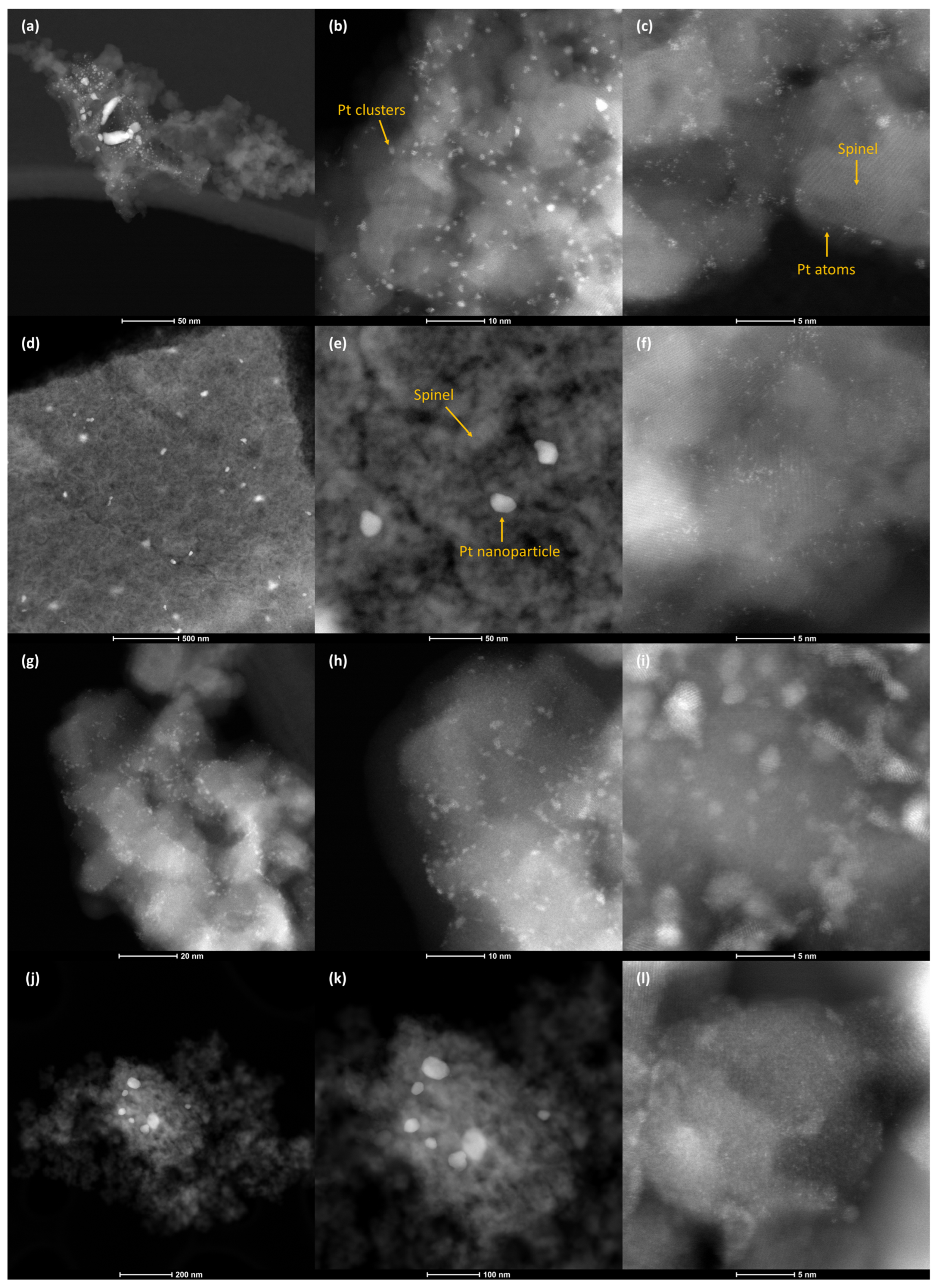 Catalysts 14 00211 g004