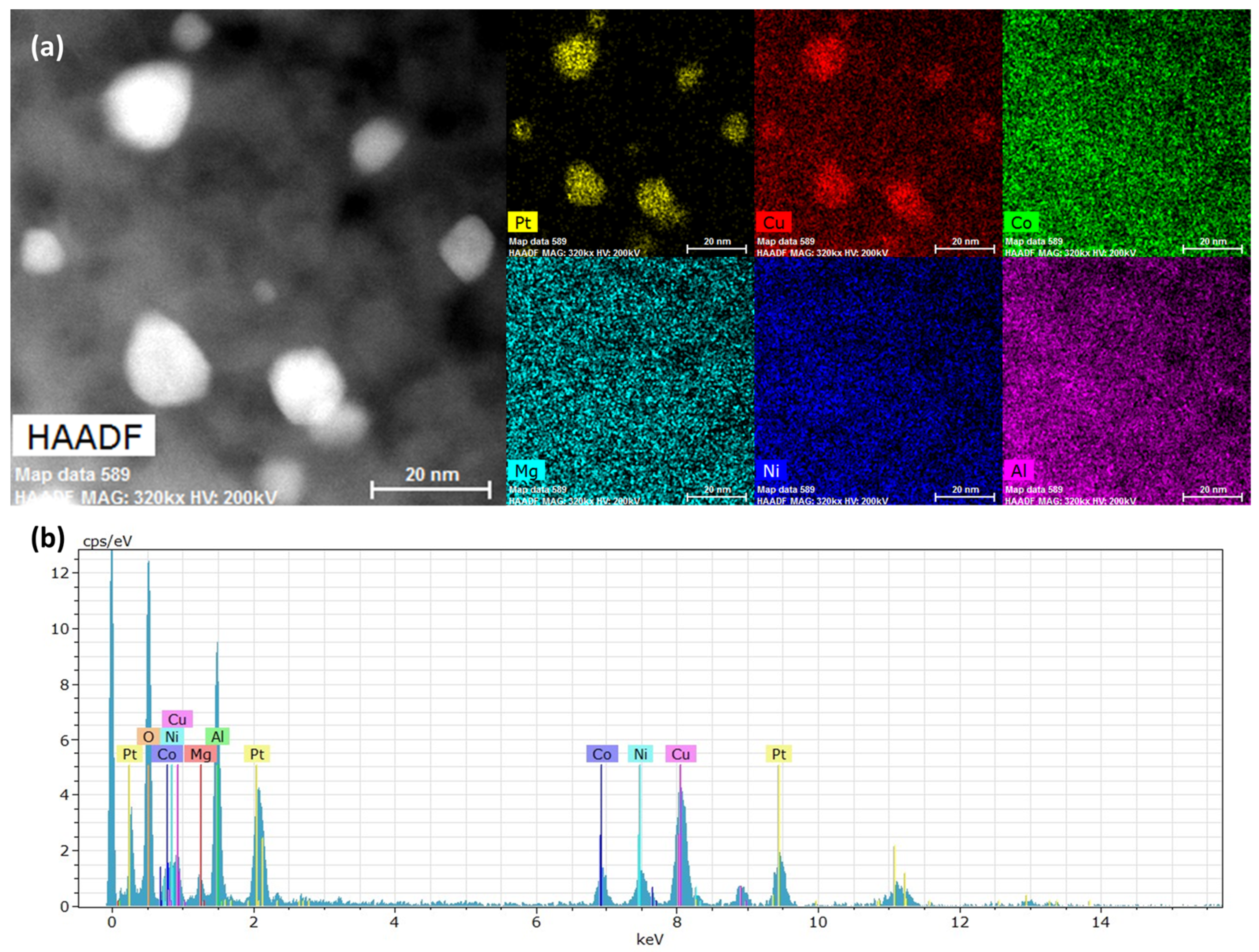 Catalysts 14 00211 g006