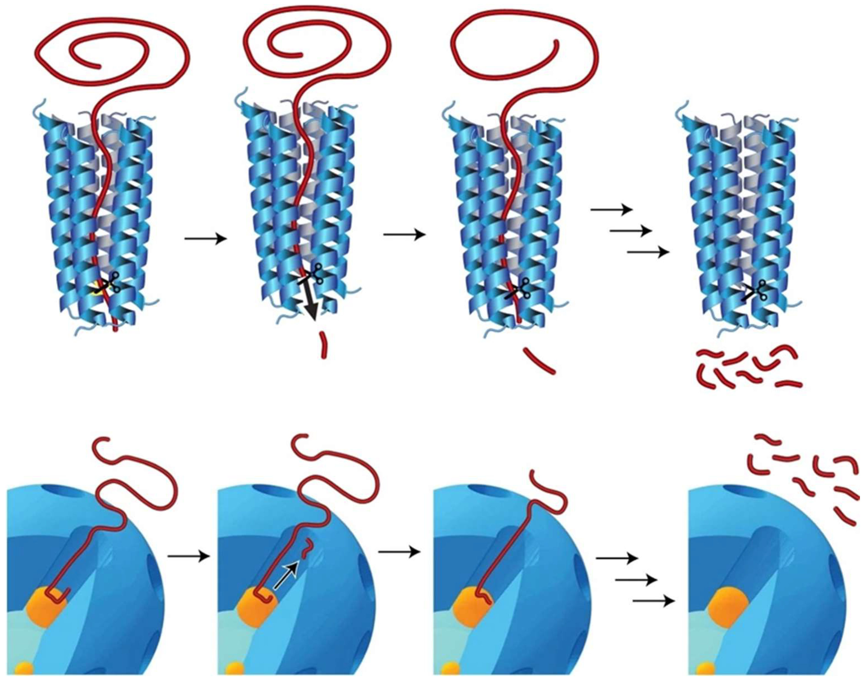 Catalysts 14 00212 g003