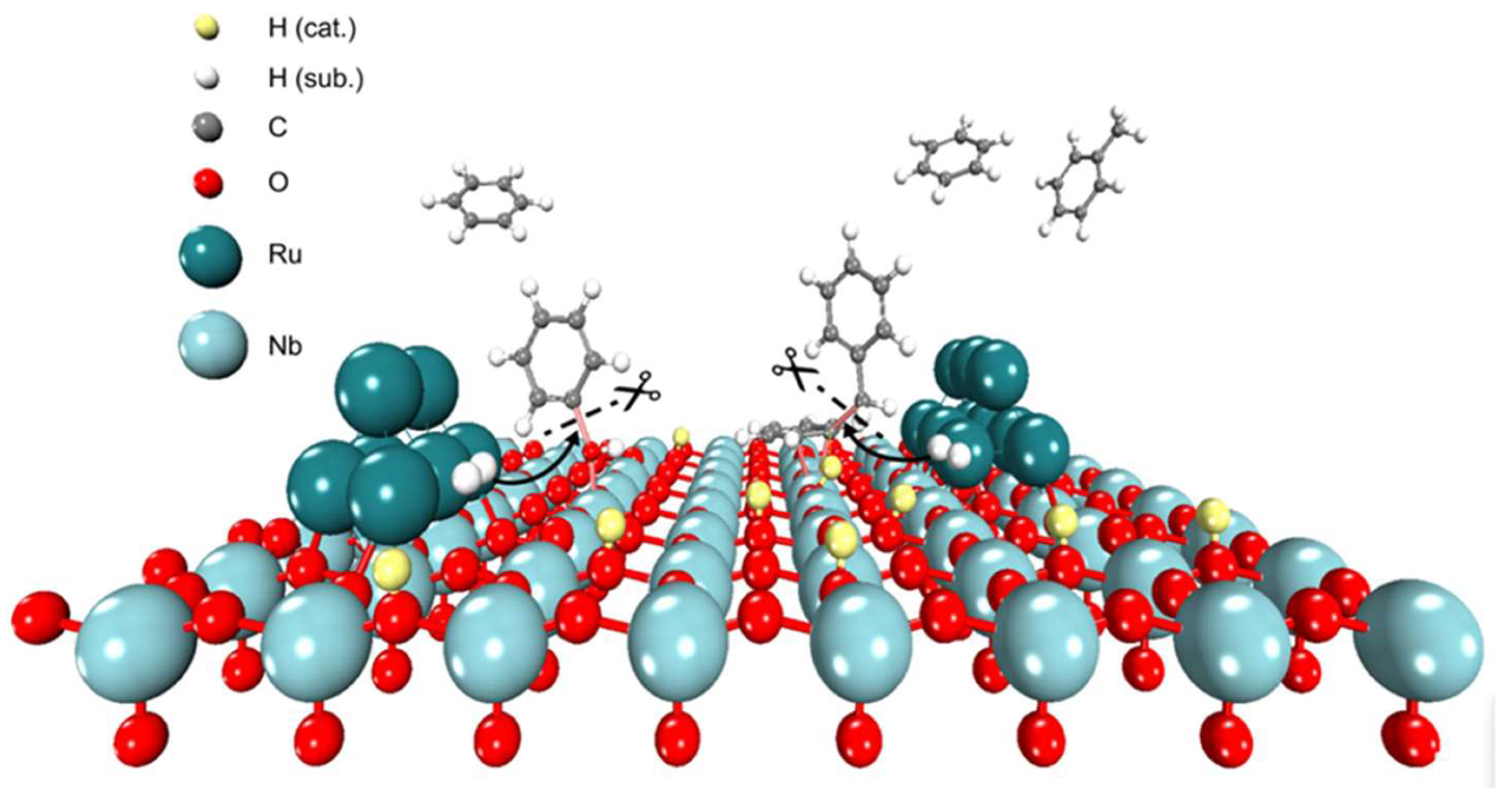Catalysts 14 00212 g004