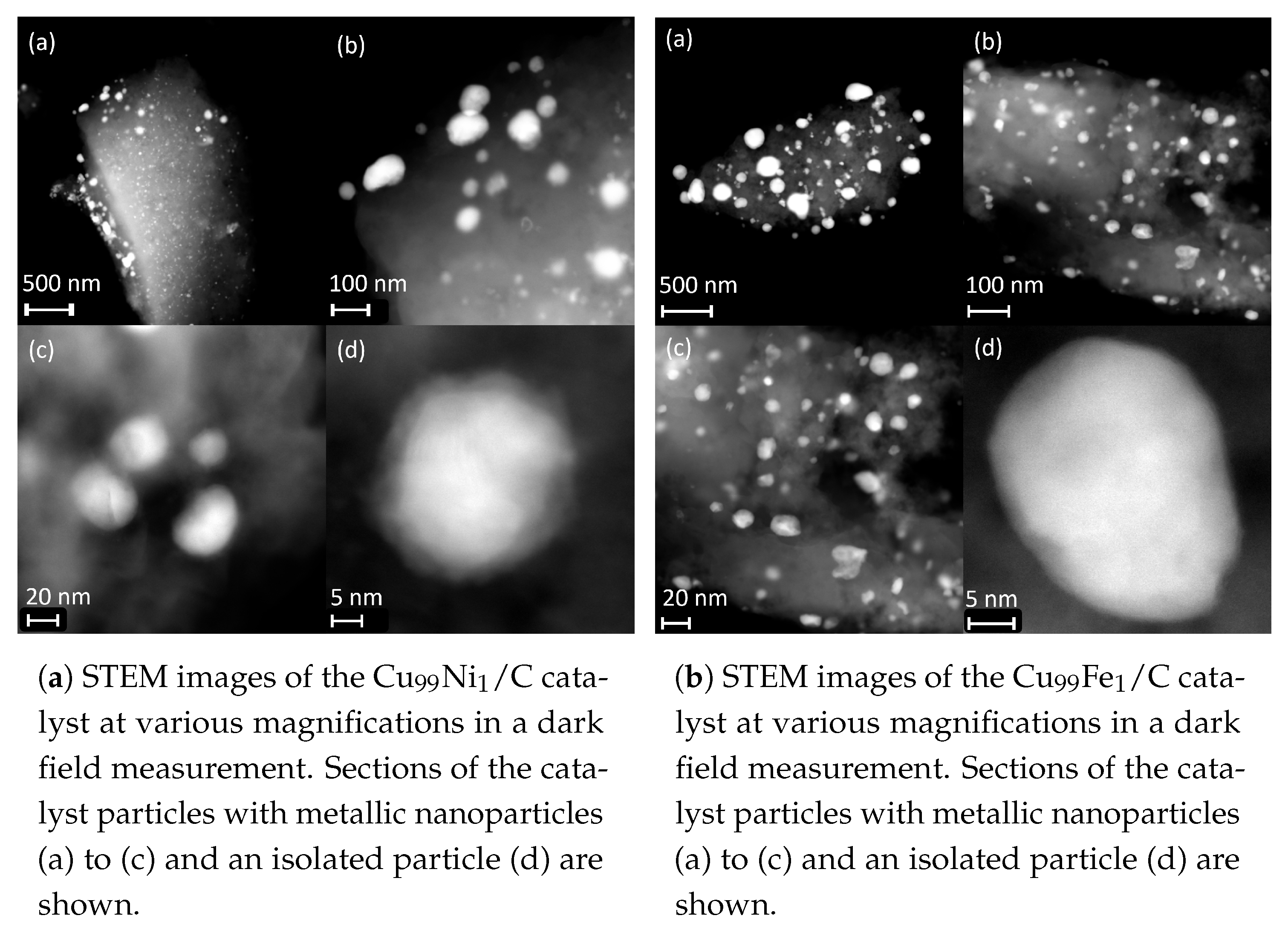 Catalysts 14 00215 g003 Catalysts 14 00215 g003