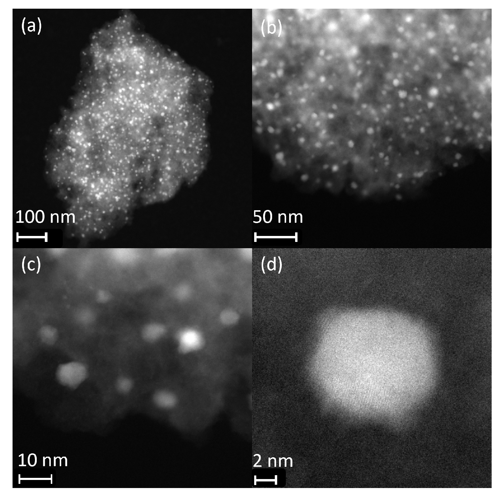 Catalysts 14 00215 g006 Catalysts 14 00215 g006