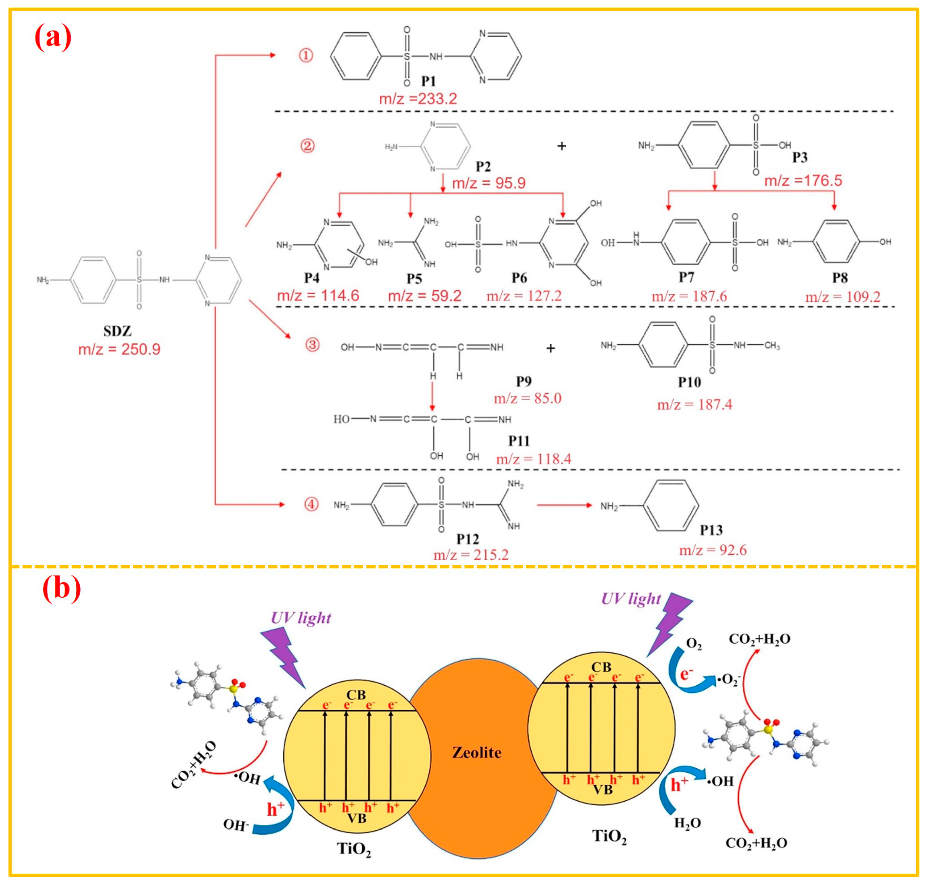 Catalysts 14 00216 g008