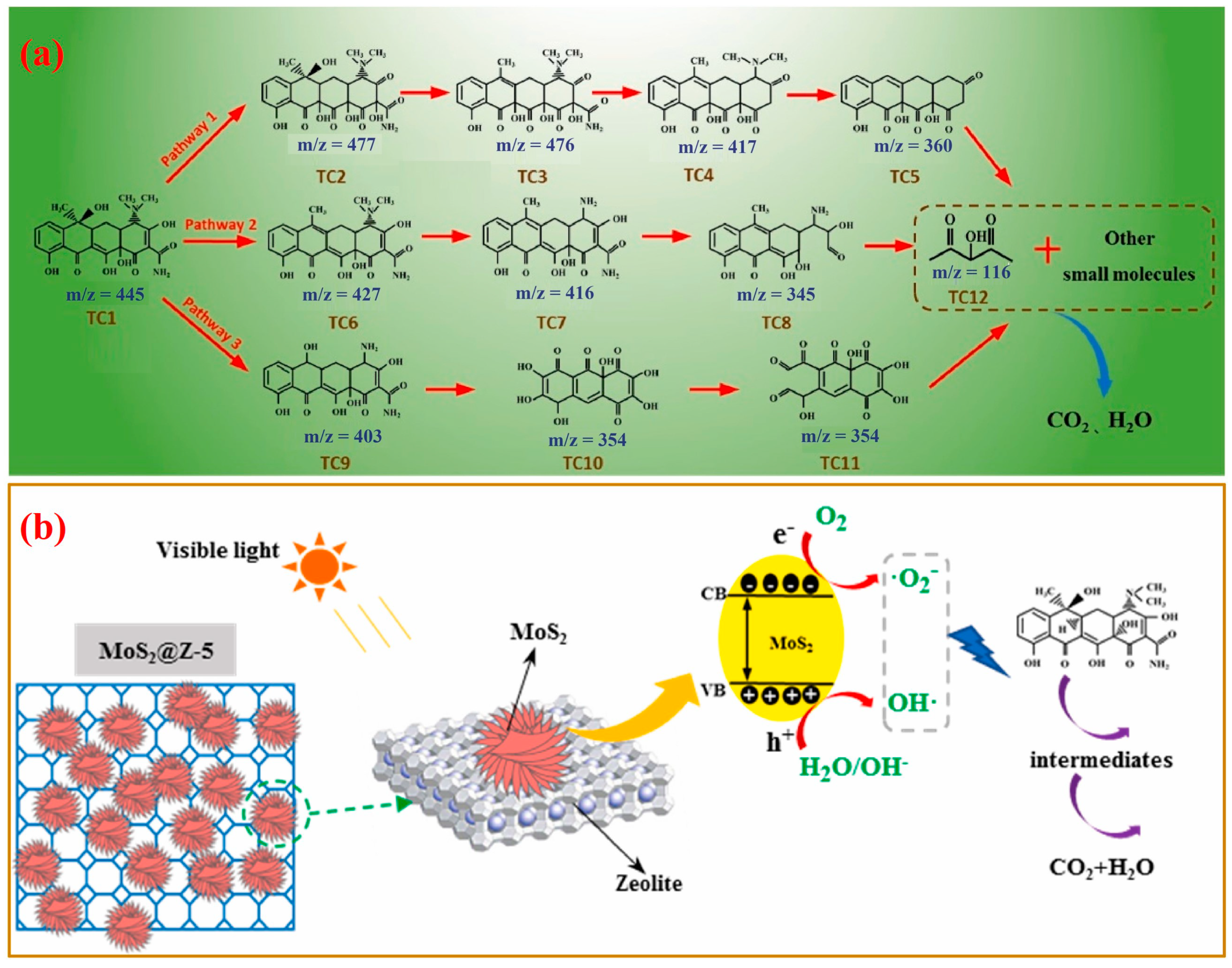 Catalysts 14 00216 g009