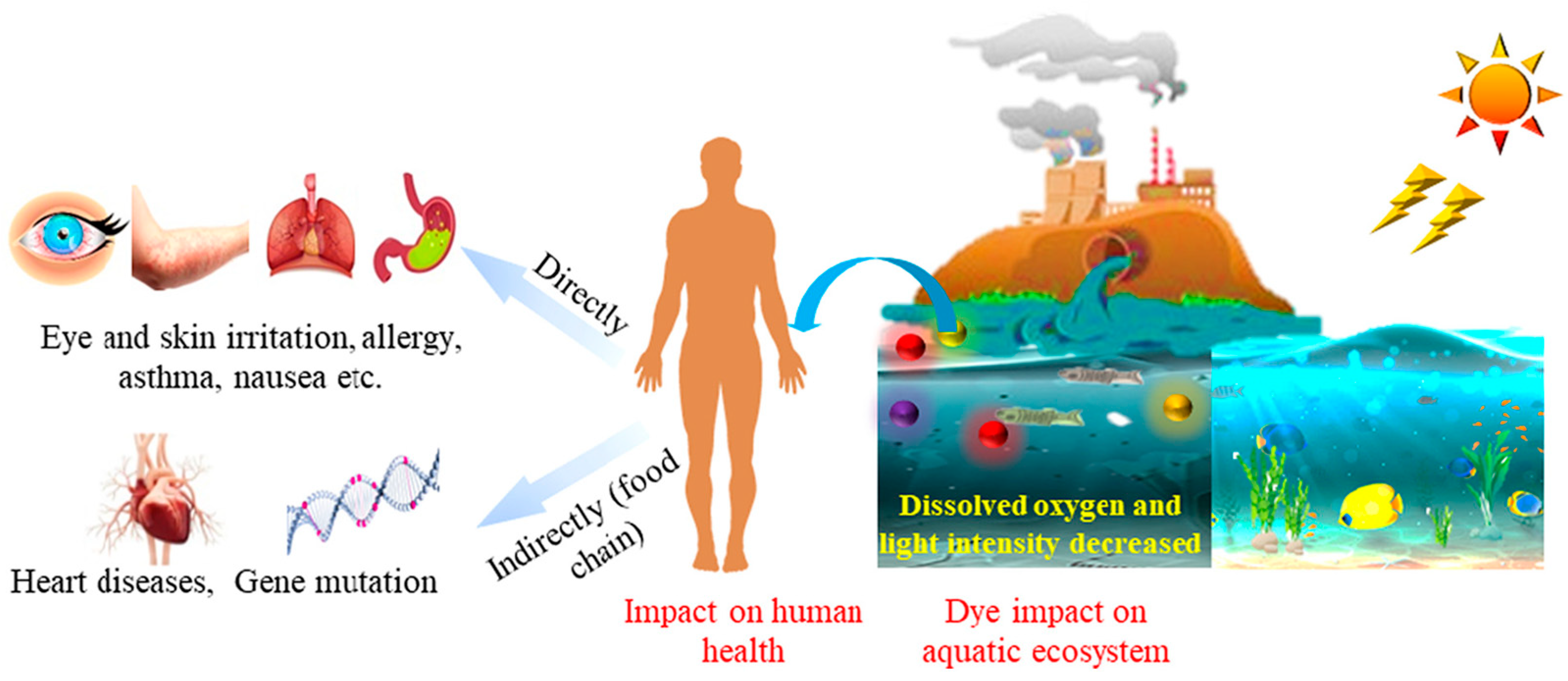 Catalysts 14 00216 g011