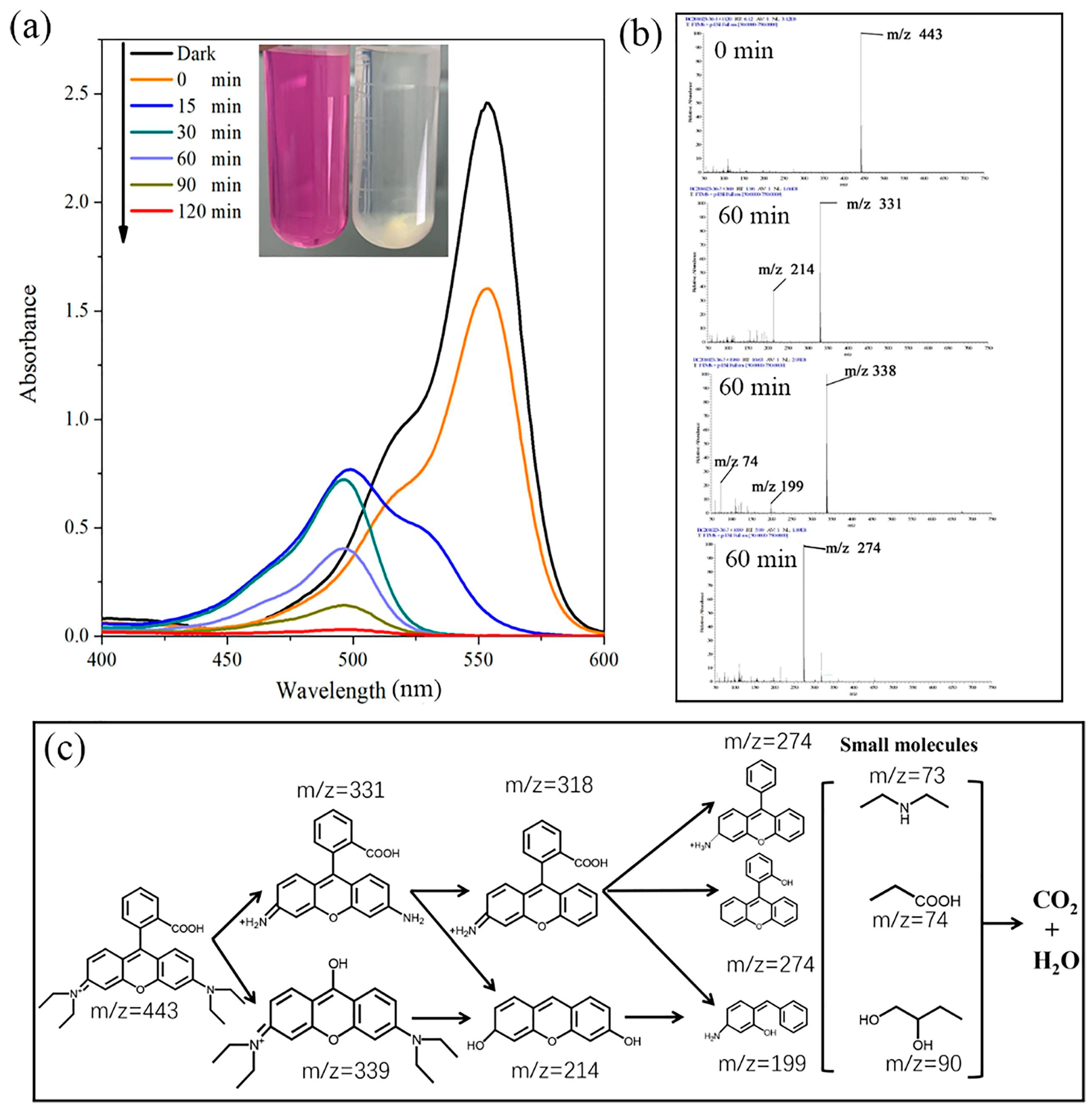 Catalysts 14 00216 g014
