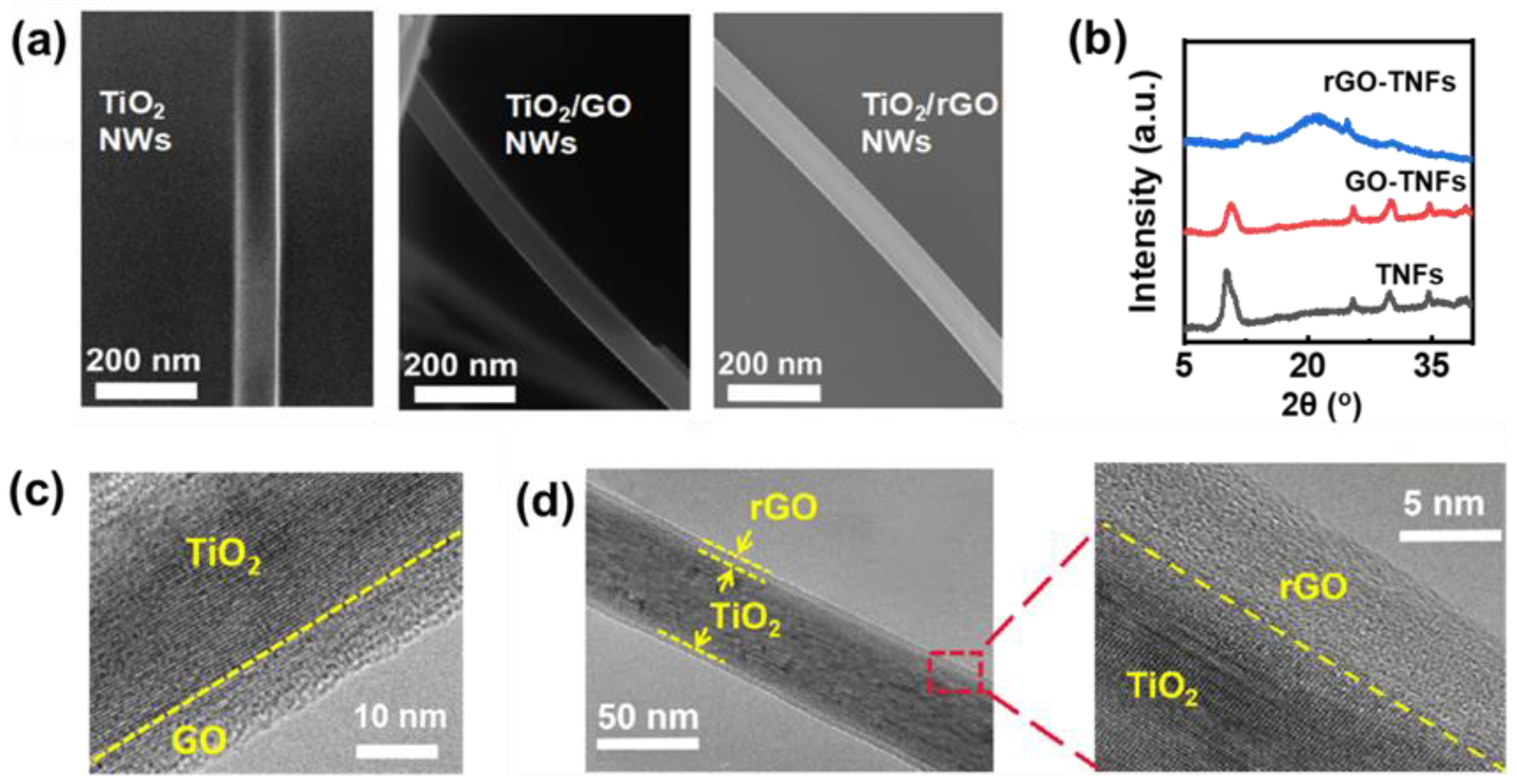 Catalysts 14 00218 g001