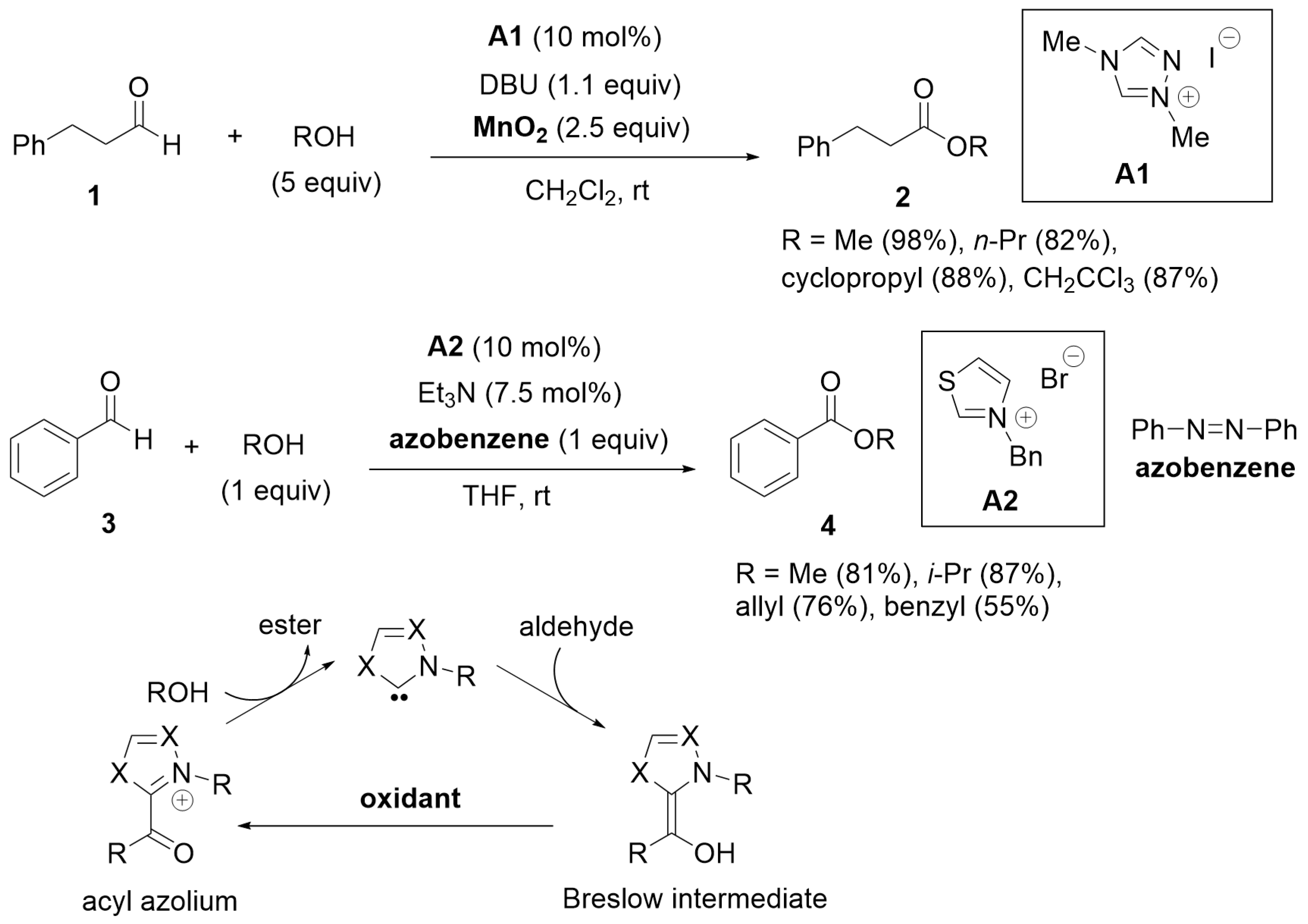 Catalysts 14 00219 sch001