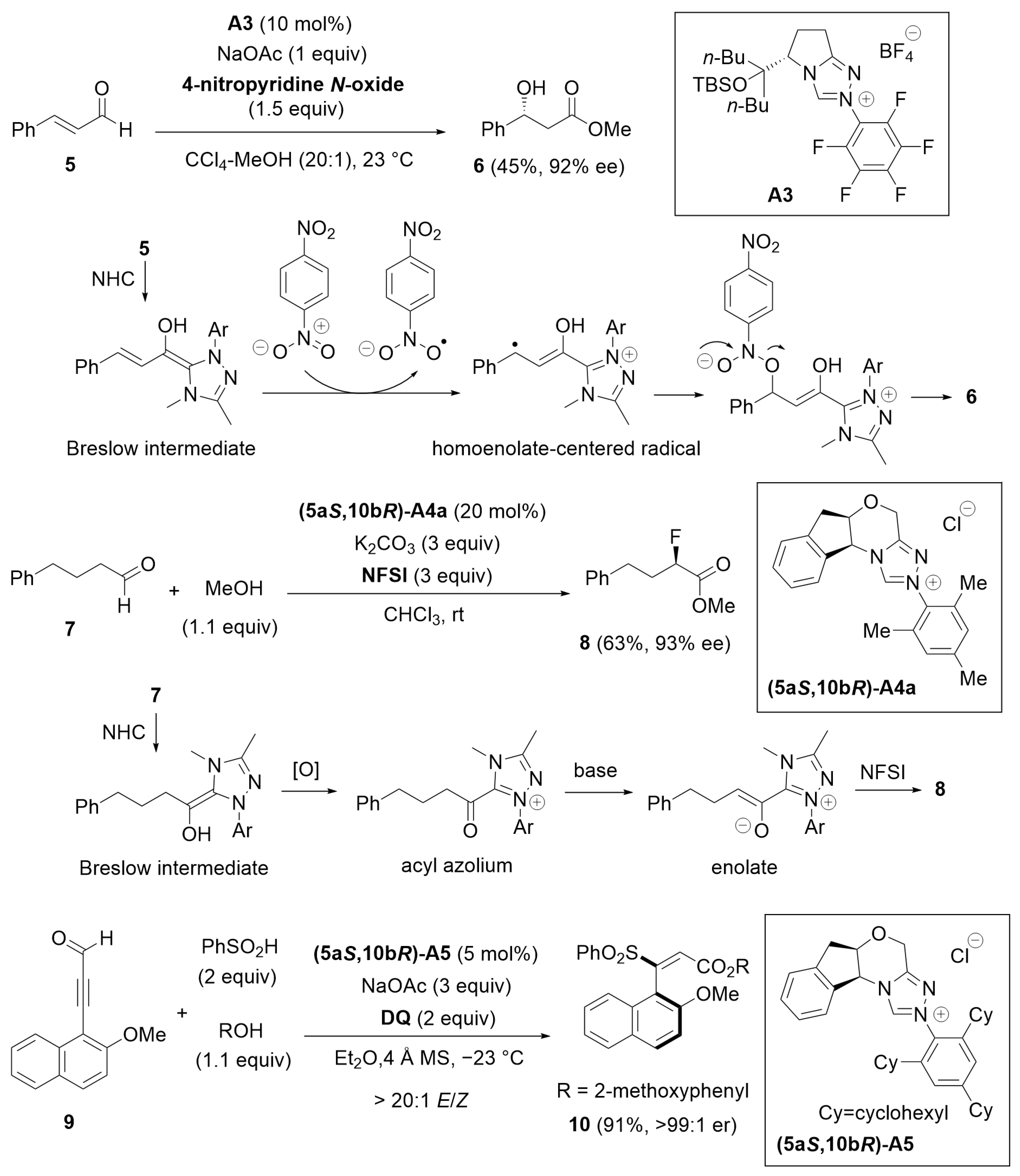 Catalysts 14 00219 sch002