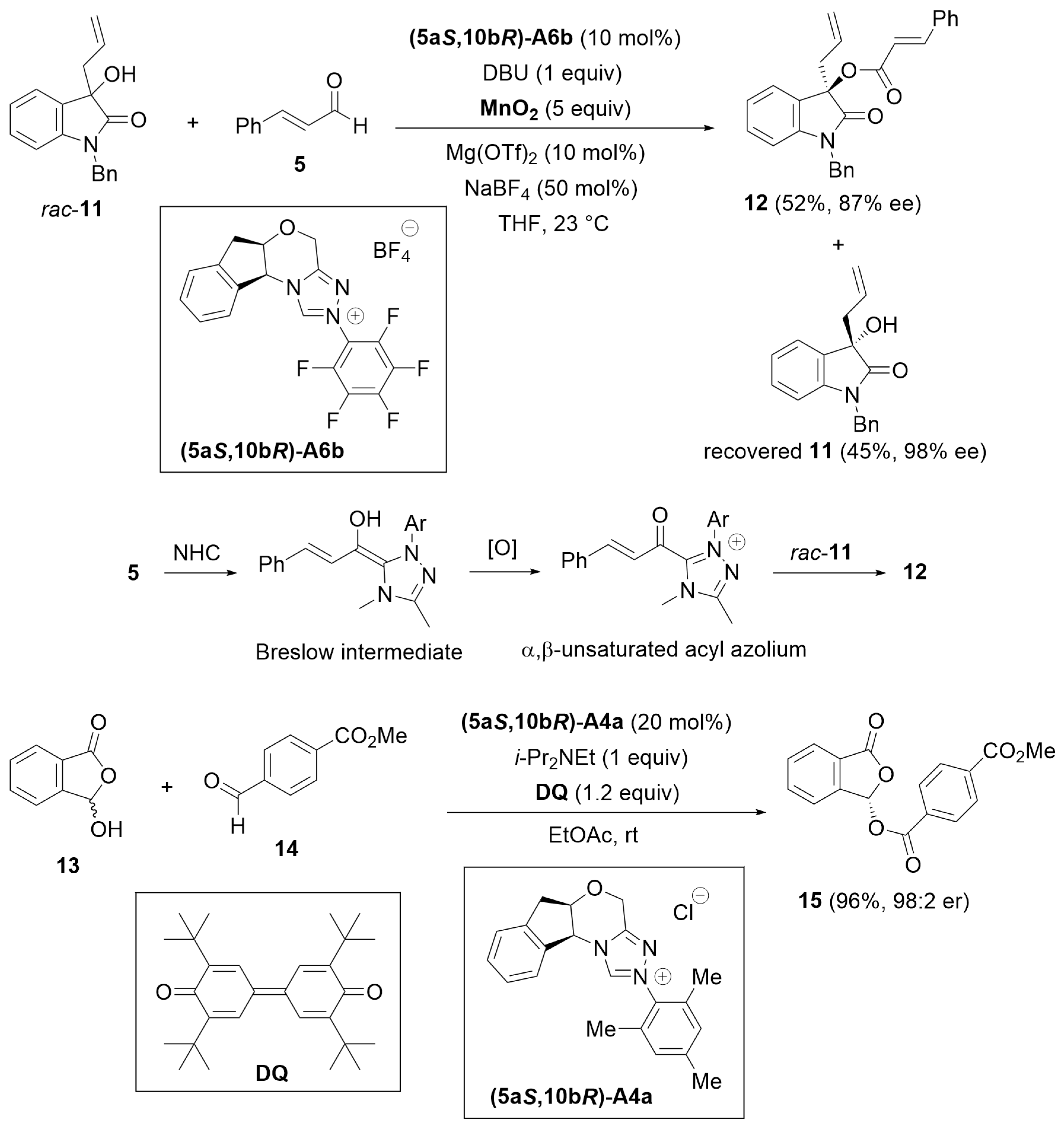 Catalysts 14 00219 sch003