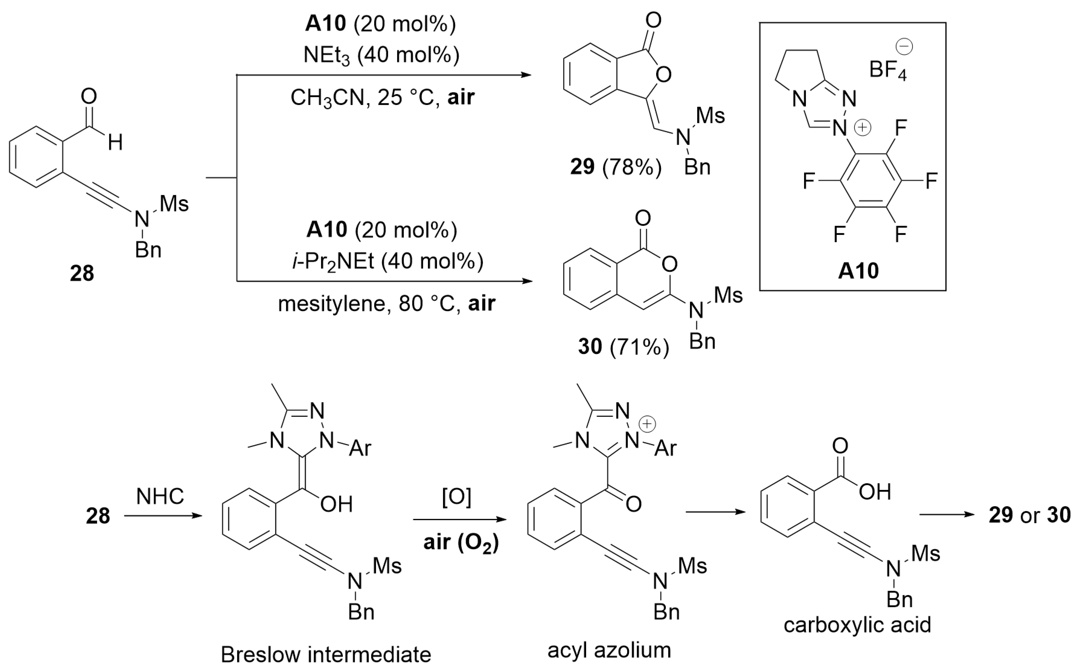 Catalysts 14 00219 sch007