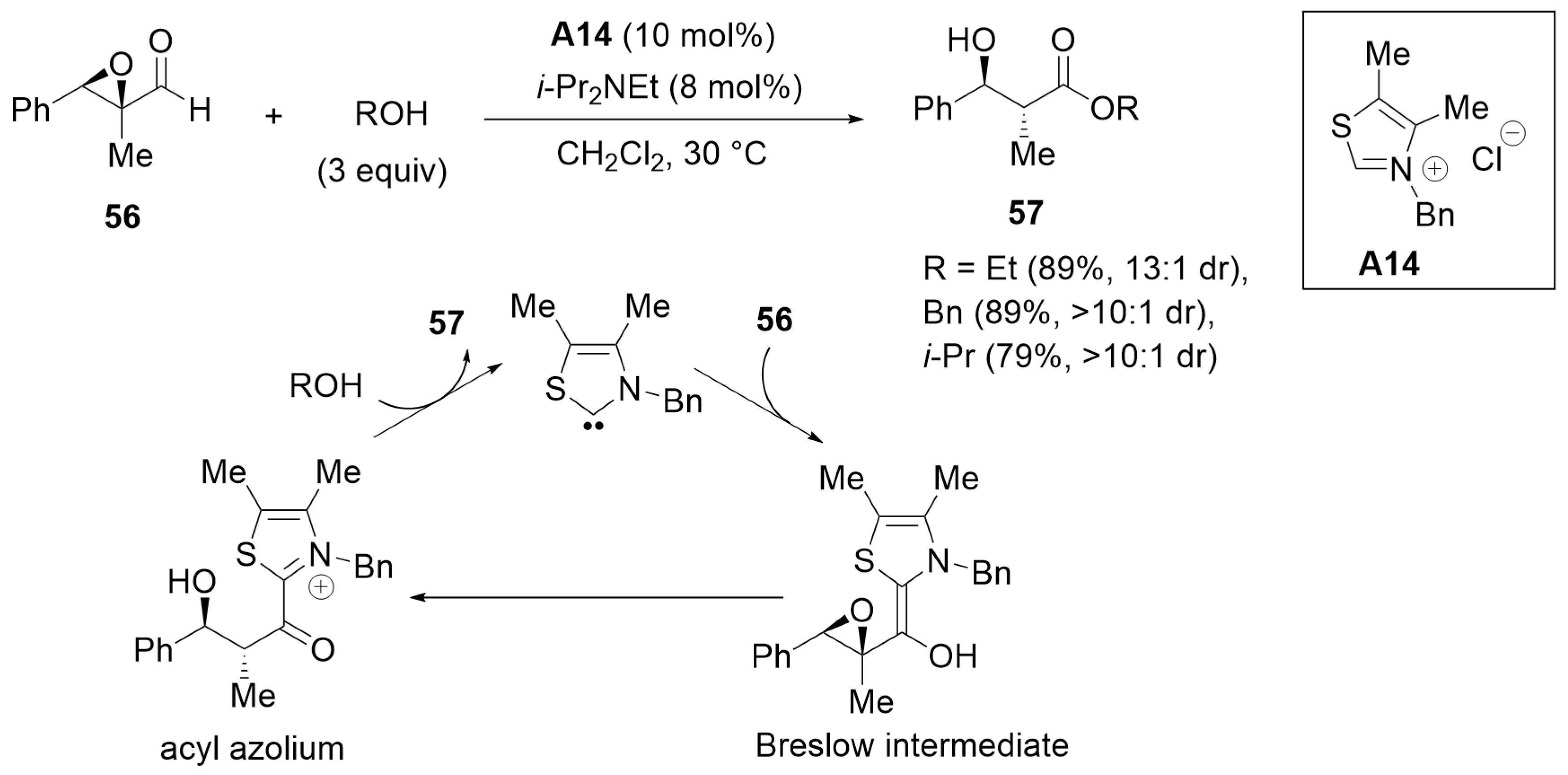 Catalysts 14 00219 sch016