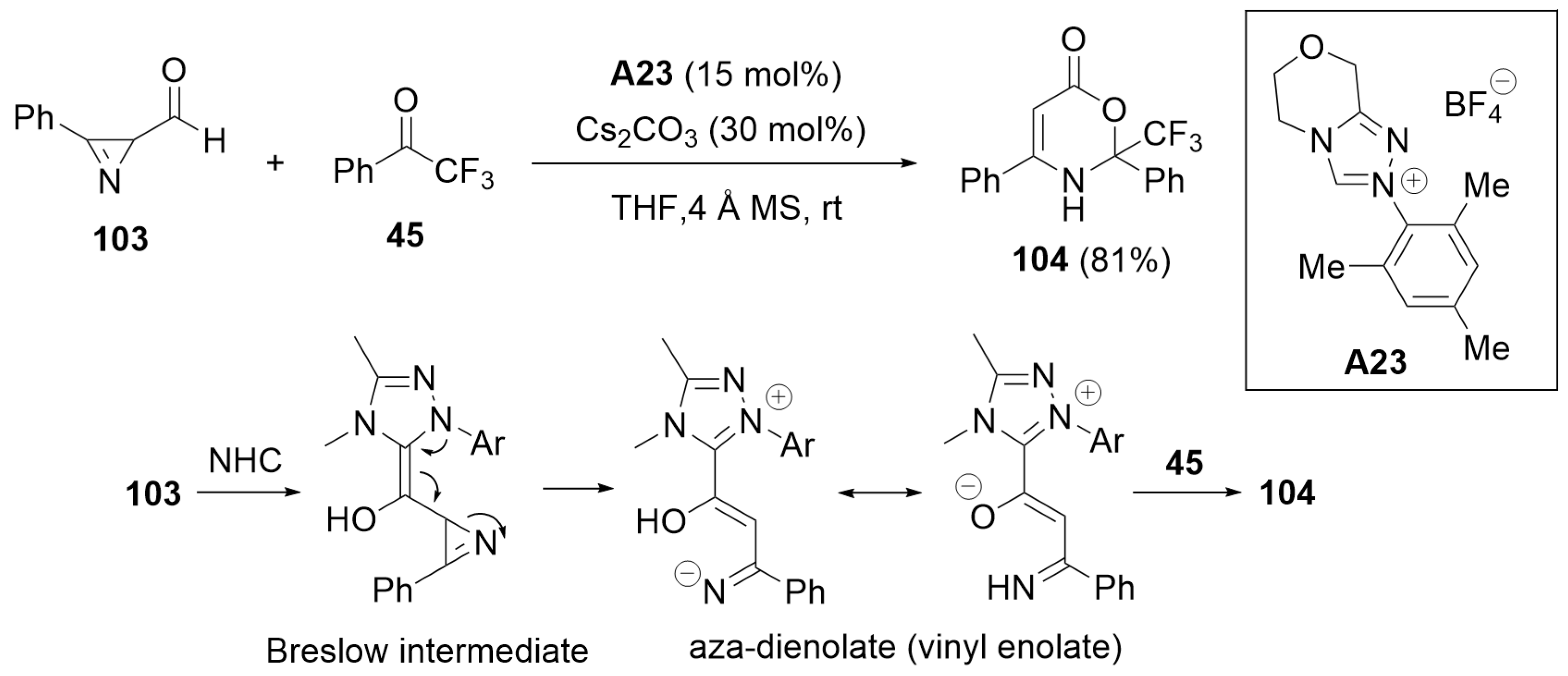 Catalysts 14 00219 sch029