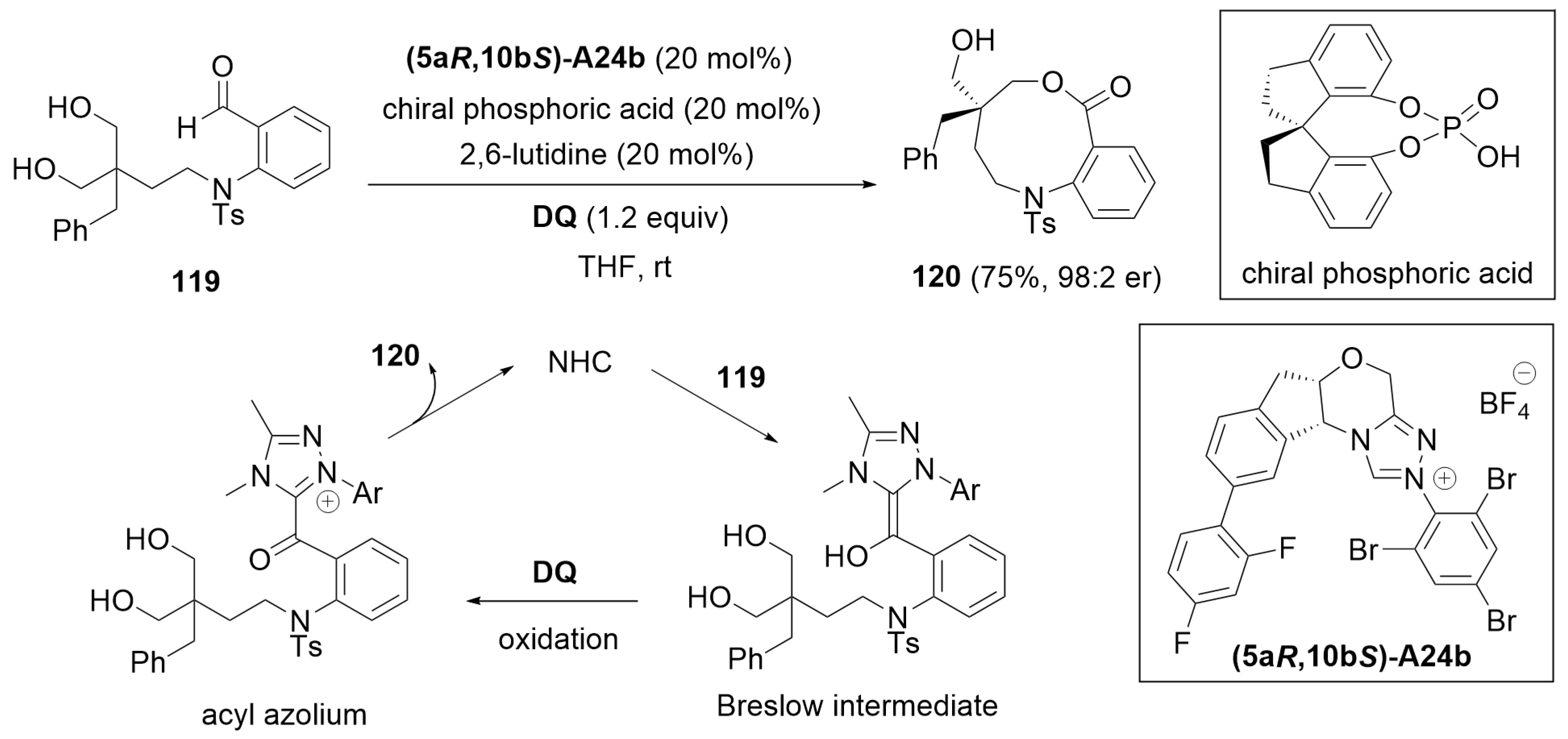 Catalysts 14 00219 sch035