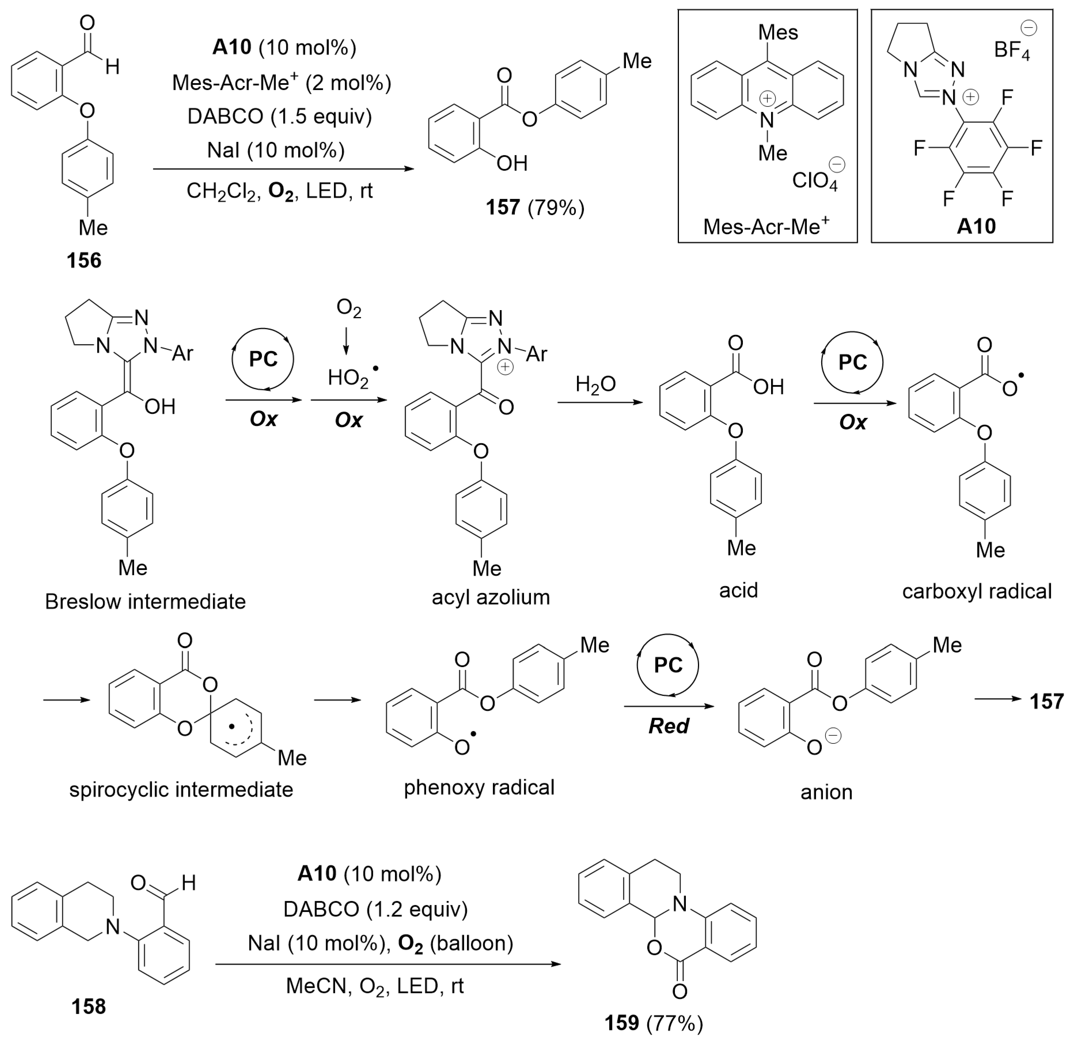 Catalysts 14 00219 sch051