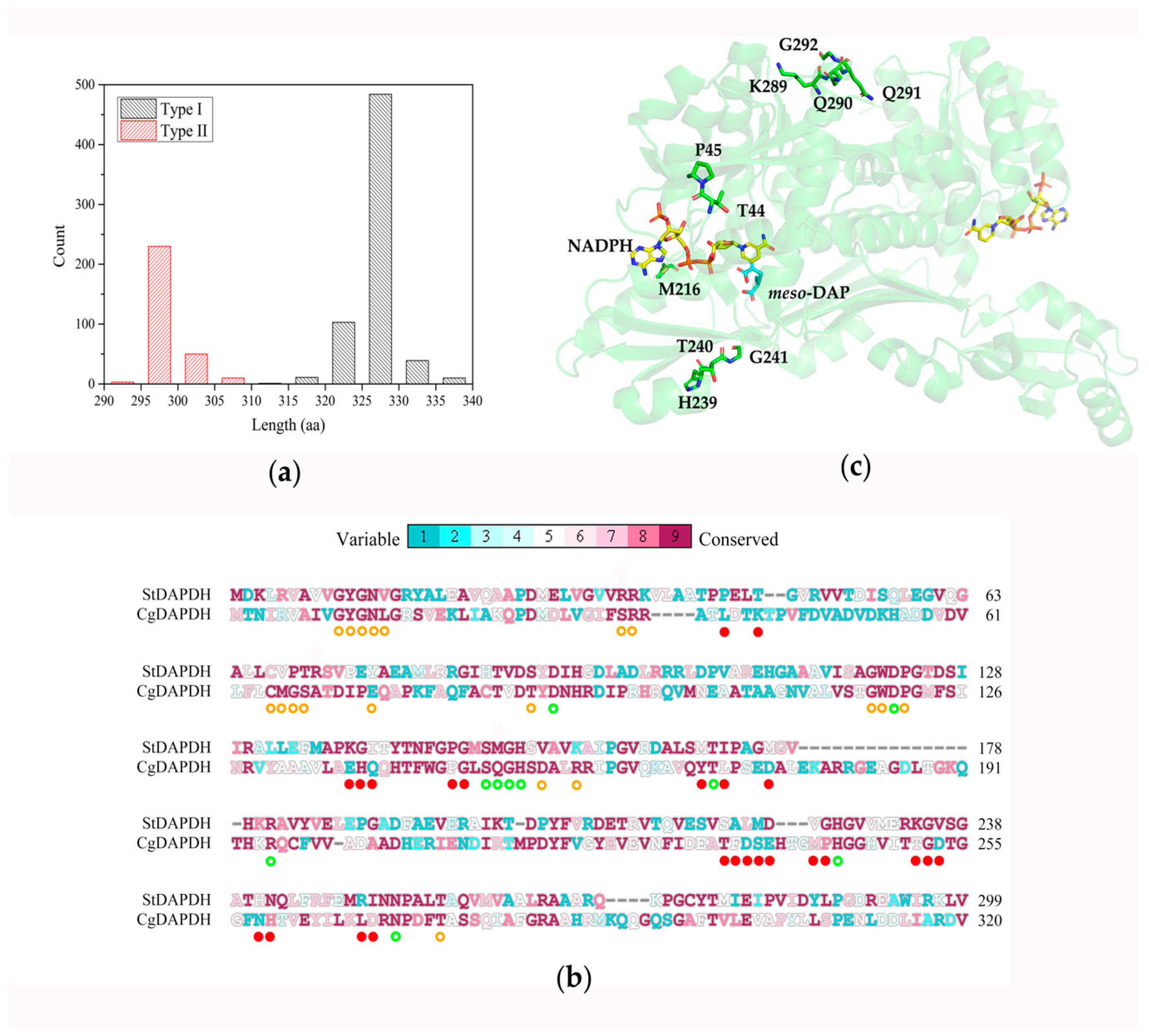Catalysts 14 00220 g001