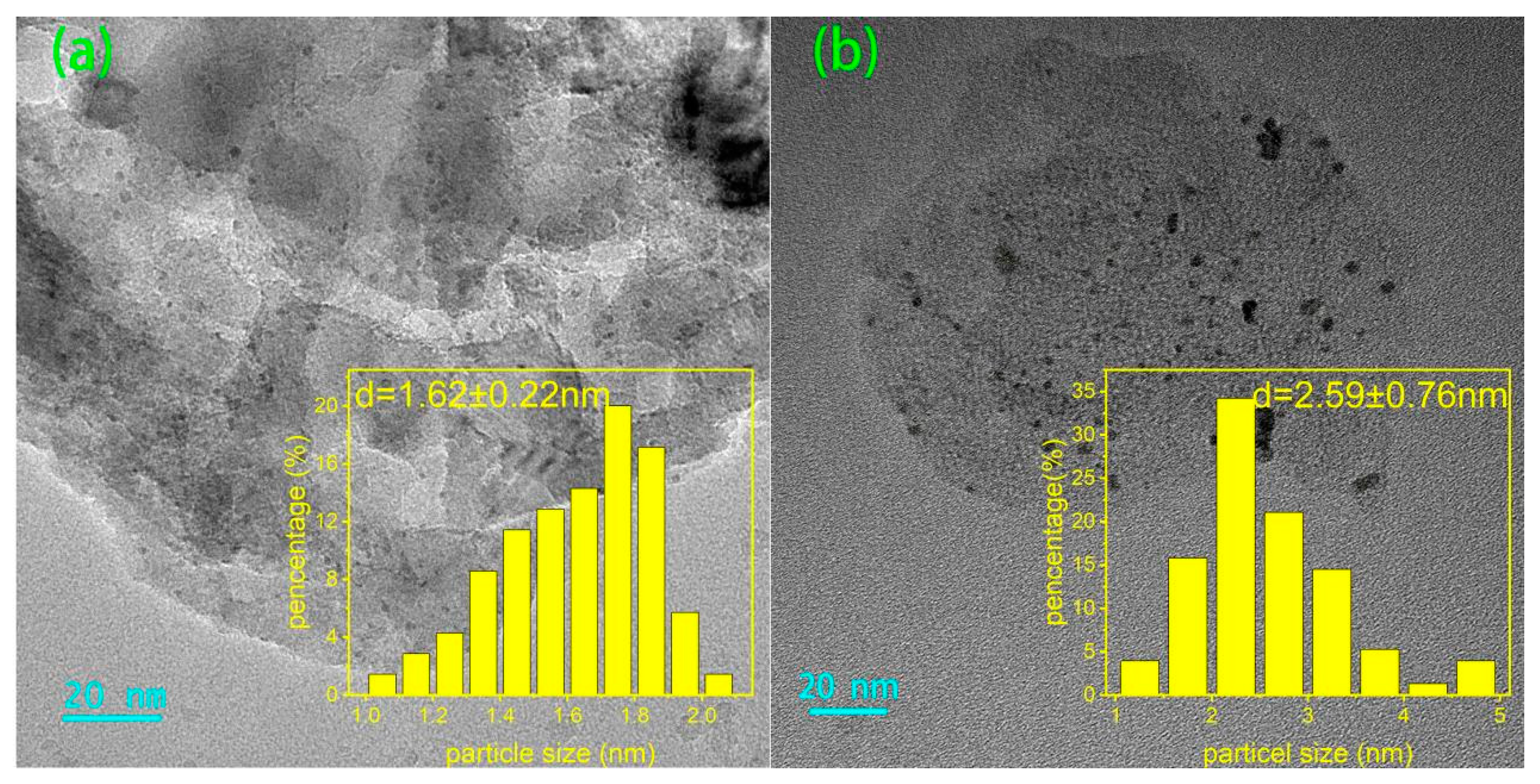 Catalysts 14 00223 g016